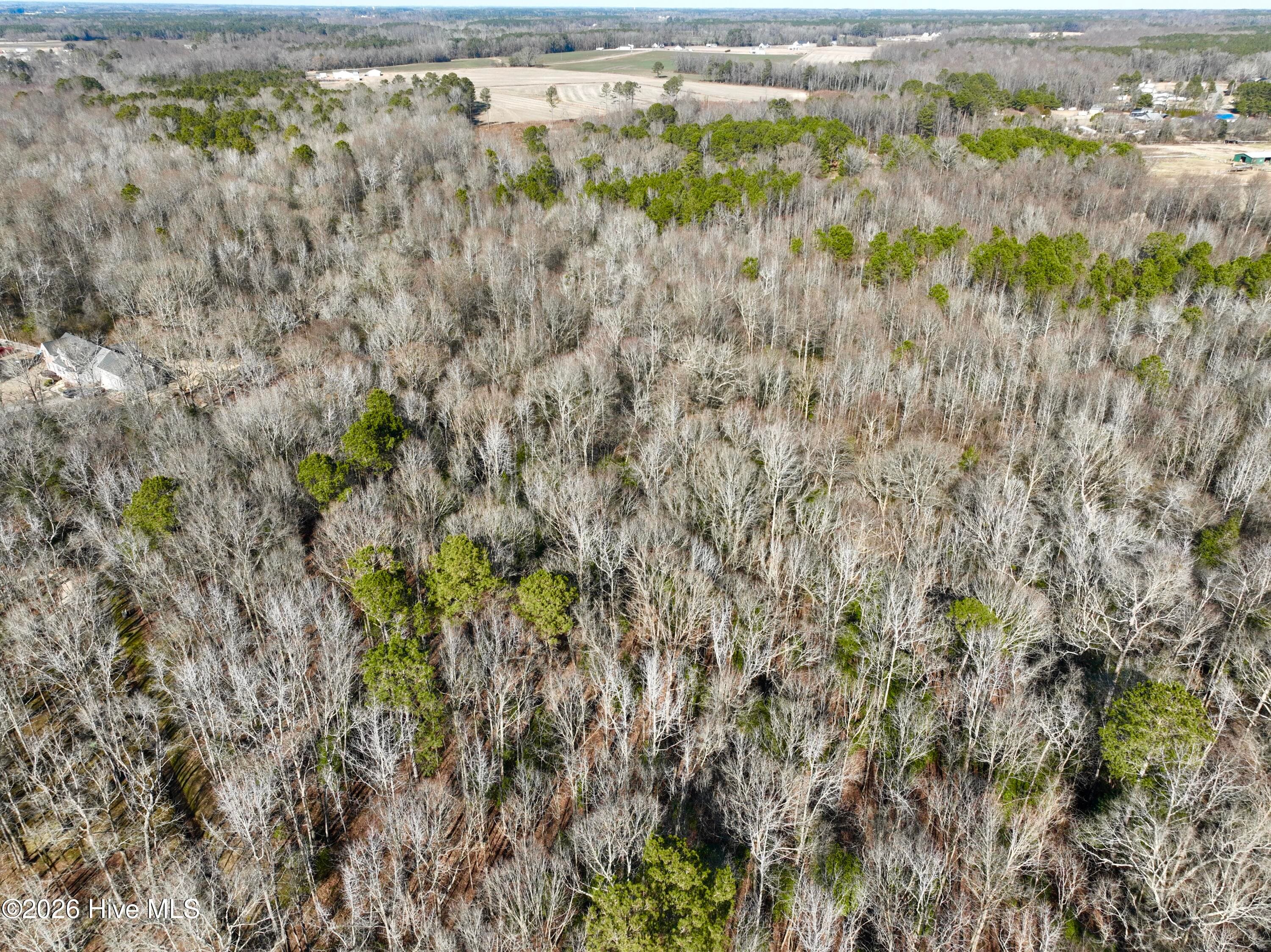 Wooded at 0 Fred Circle S, Kenly, NC 27542, photo 17 of 21