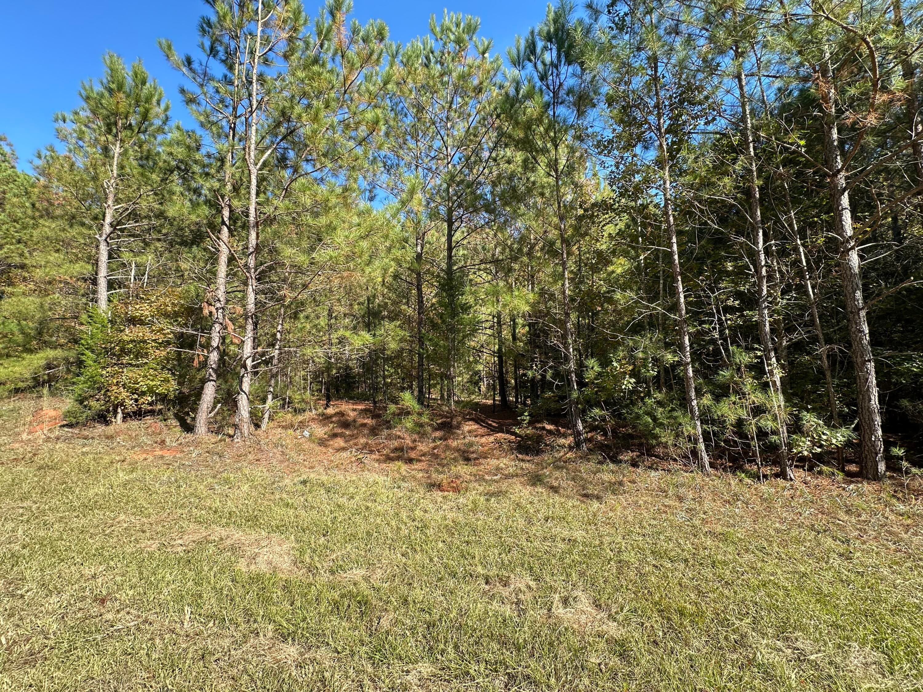 Agriculture at 00 Crook Road, Lincolnton, GA 30817, photo 7 of 7