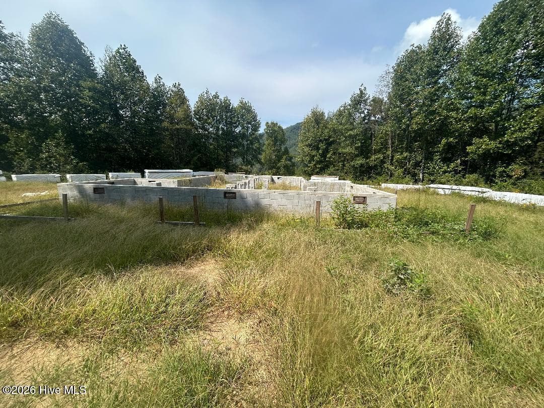 Residential Lot at 0 Santeetlah Heights, Robbinsville, NC 28771, photo 2 of 3