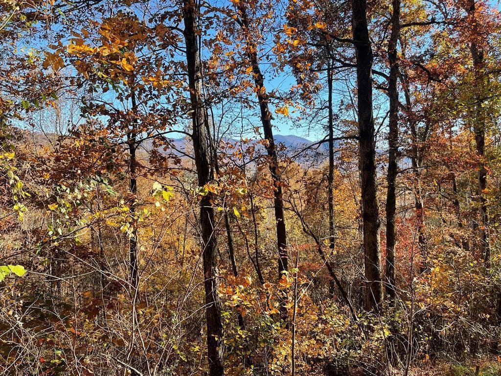 36 54c Ash Branch Circle, Hayesville, NC 28904