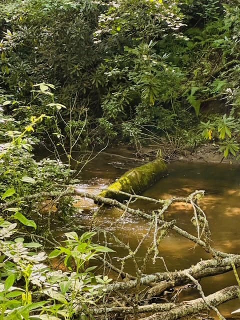 Residential Lot at Lot 62 & 62&A Creek Lot A, Stone Ridge Falls, Murphy, NC 28906, photo 5 of 16