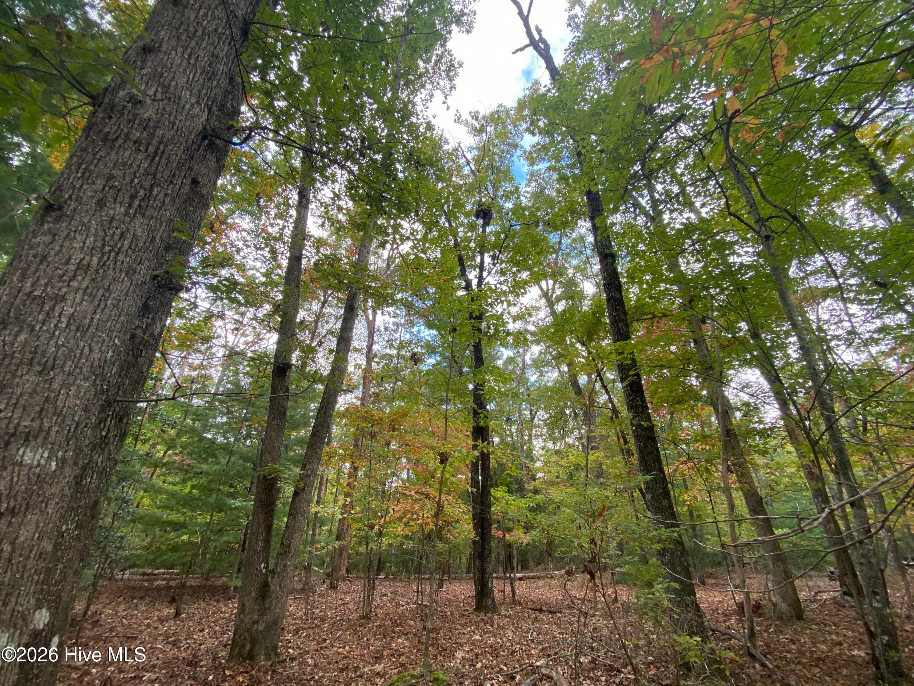 14 14 Mission Ridge, Hayesville, NC 28904