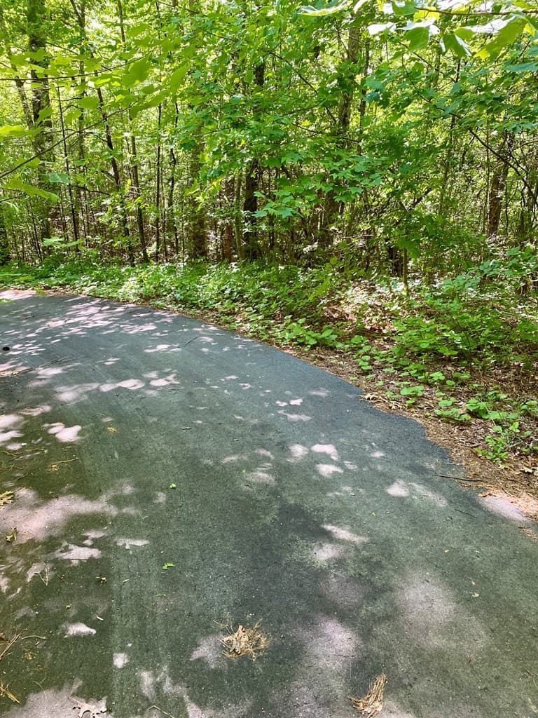 Land at 00 Deer Run, Robbinsville, NC 28771, photo 6 of 7
