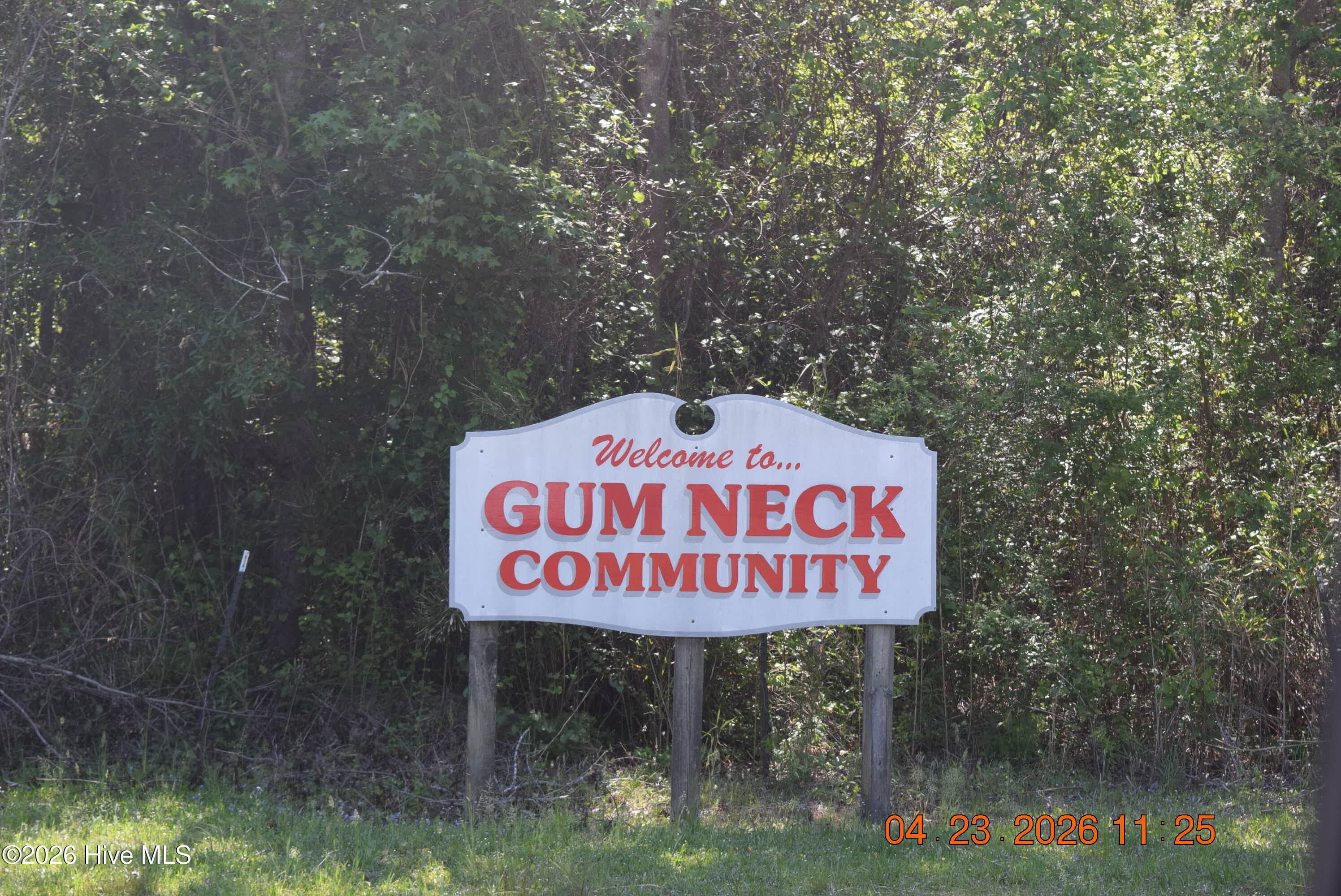 Gum Neck Community - 21 Grape Vine Landing, Columbia, NC 27925