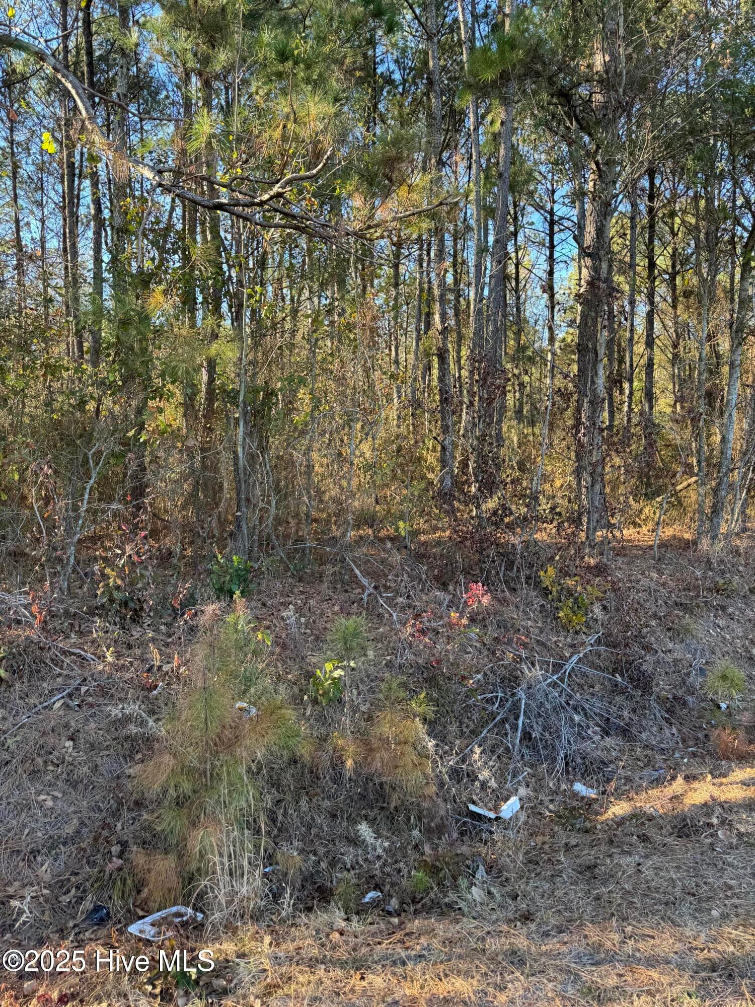00 n/a New Hope Church Road, Turkey, NC 28393