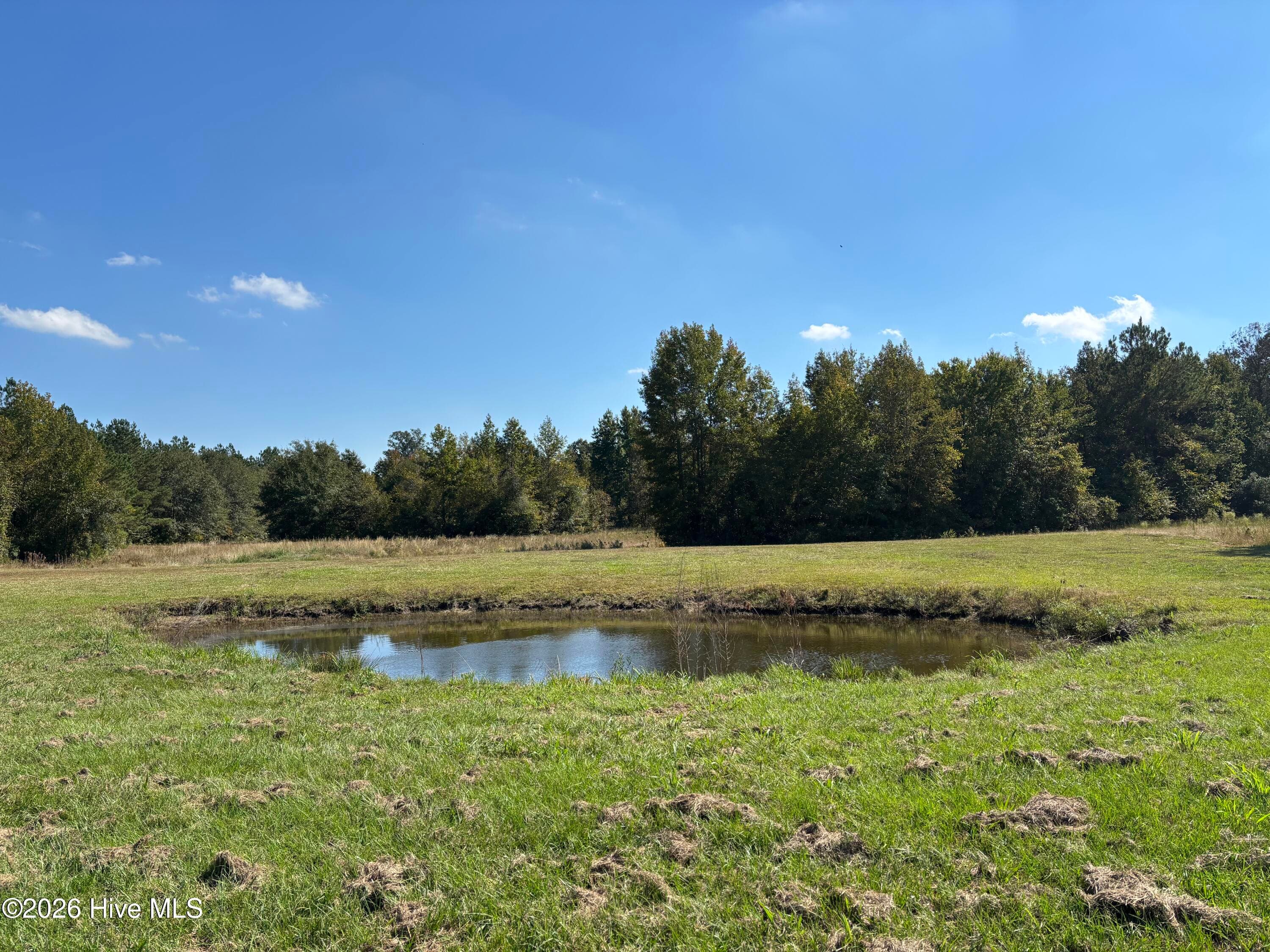 The pond. 2 turtles have names if requested. - 593 La Wane Lane, Trenton, NC 28585