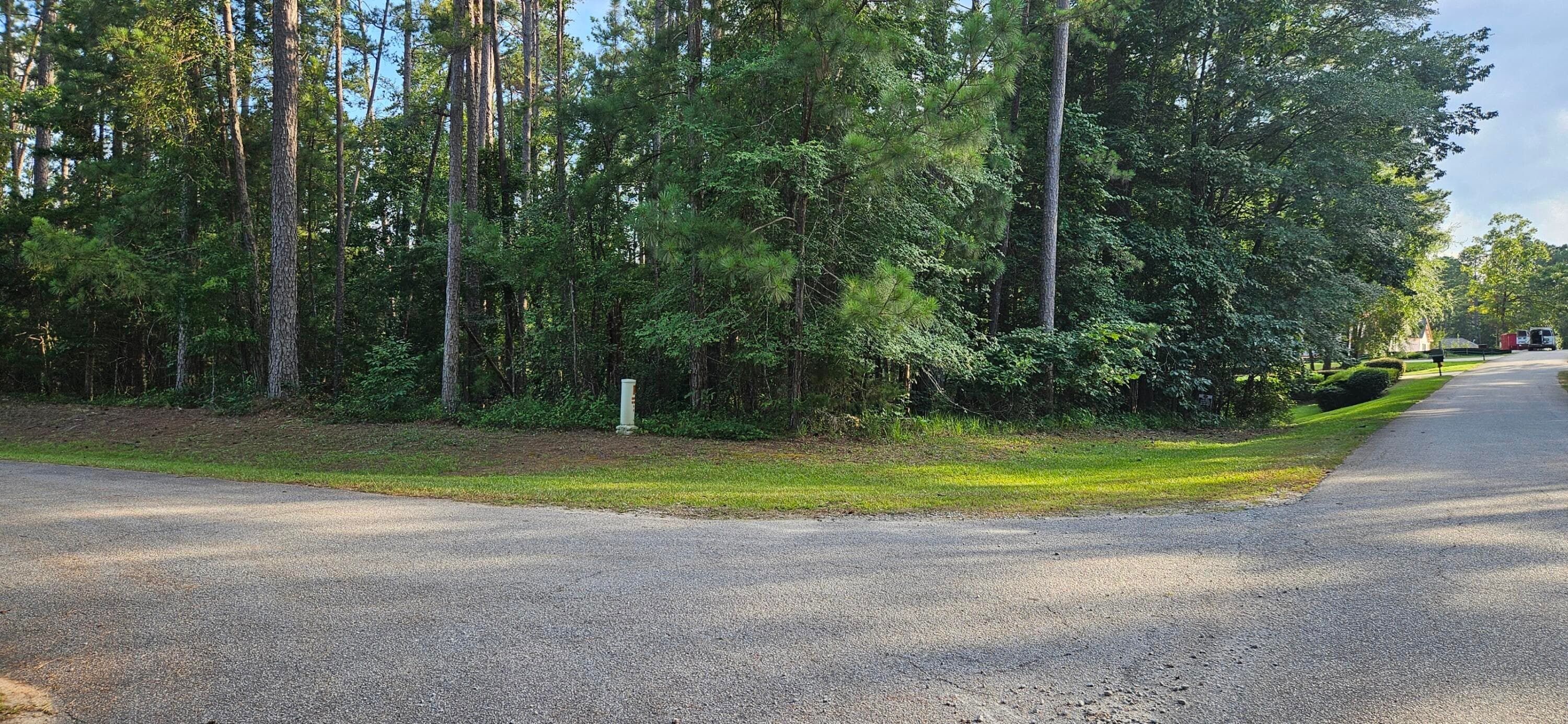 Bl 6 Lot 9 9 Davis Drive, McCormick, SC 29835