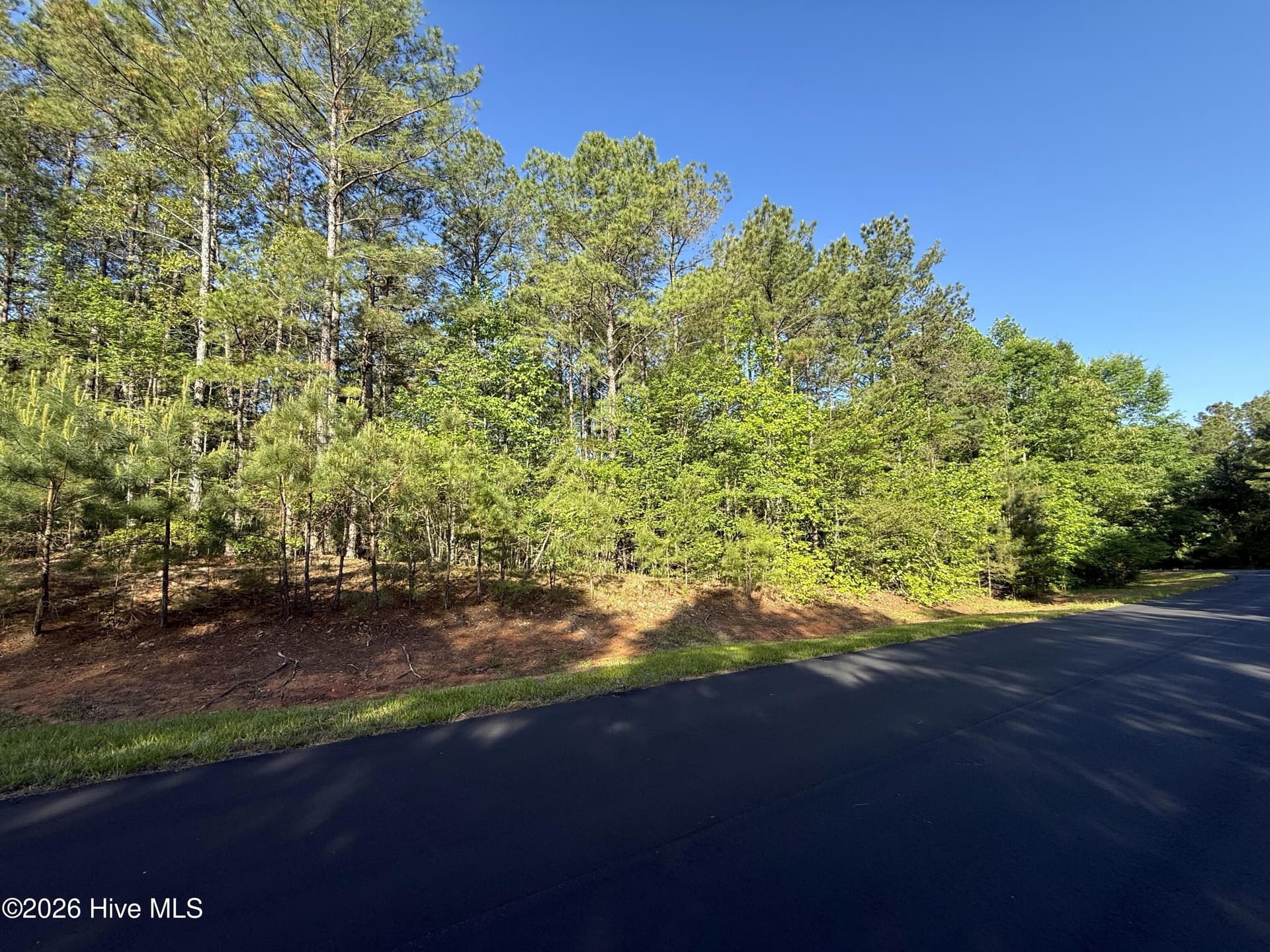 Residential Lot at 121 21 Watsons Way, Rockingham, NC 28379, photo 12 of 22