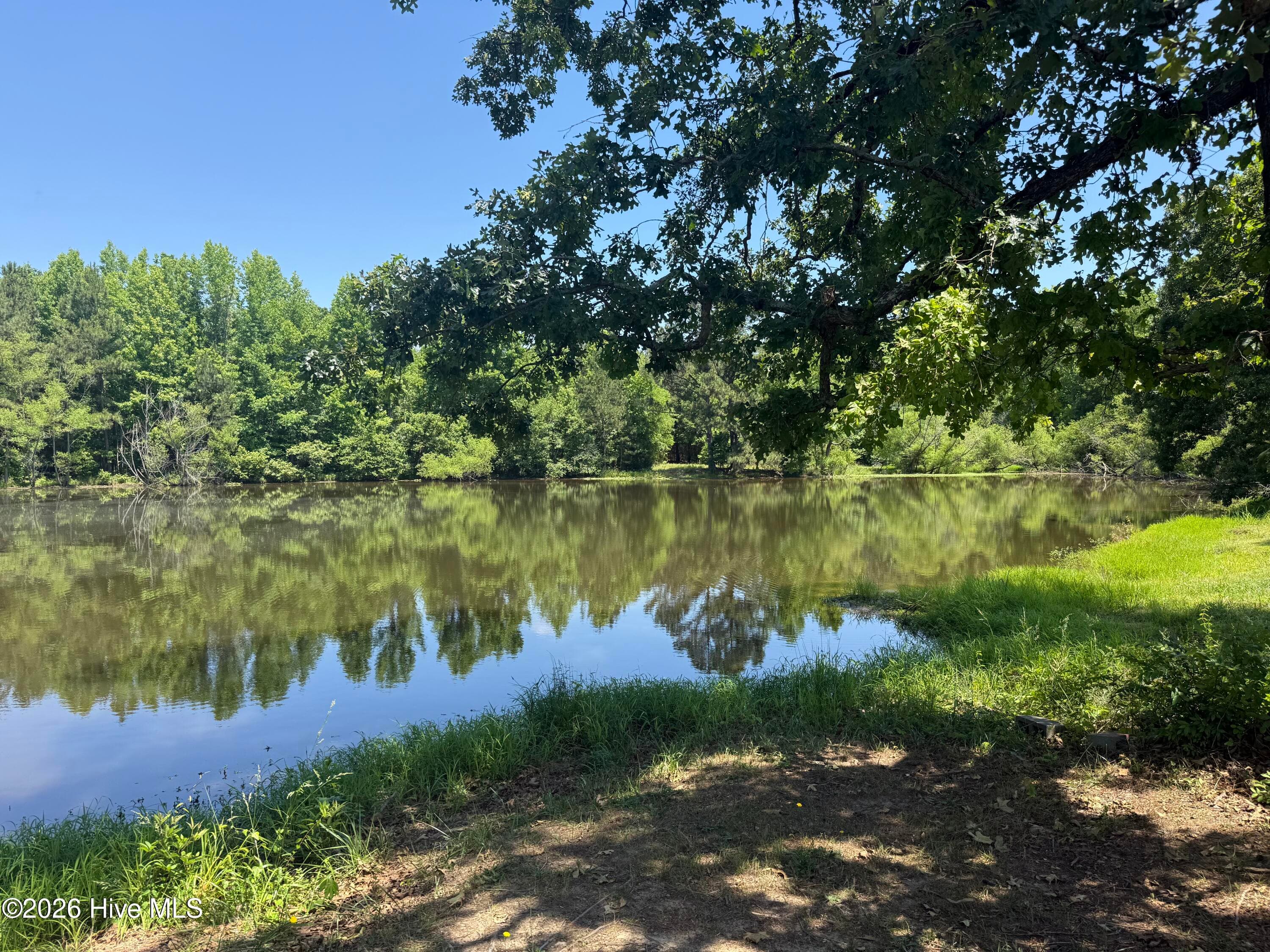 fishing pond - 357 Bordeaux Drive, Thomson, GA 30824