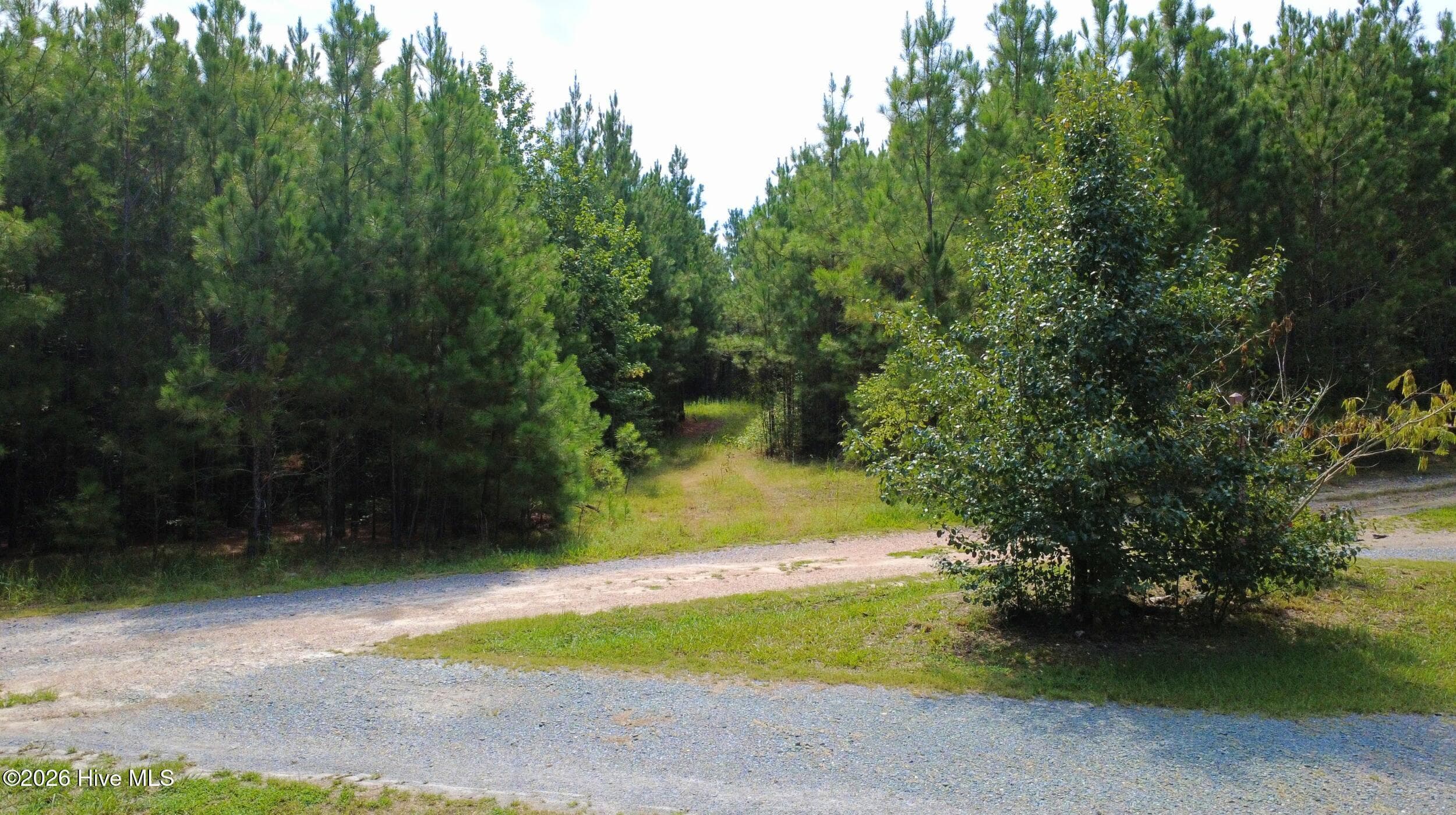 Undeveloped at 239 16 Lick Creek Road, Carthage, NC 28327, photo 9 of 12