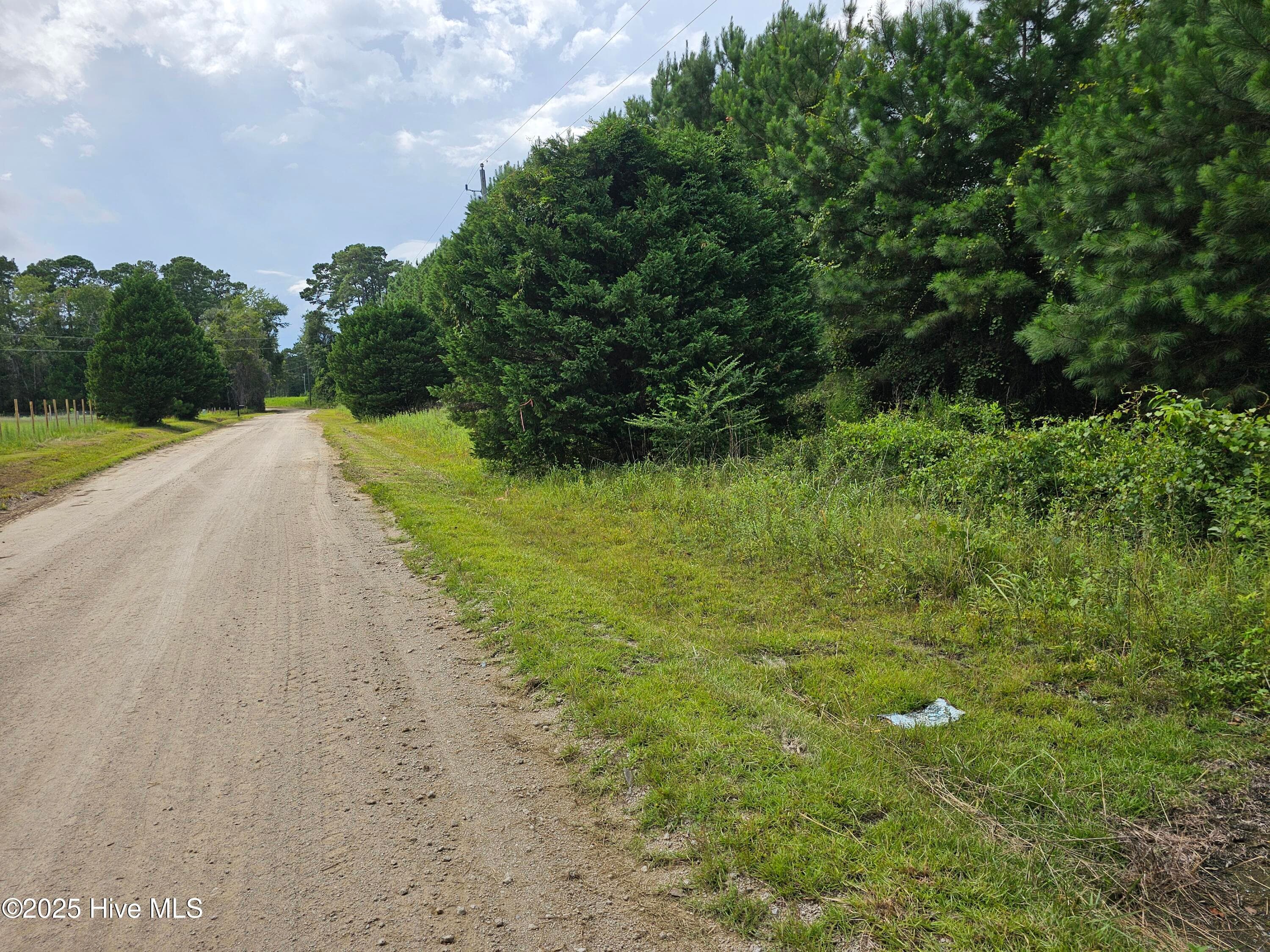 Lot 10 & 9 9 and 10 Powell Lane, Loris, SC 29569