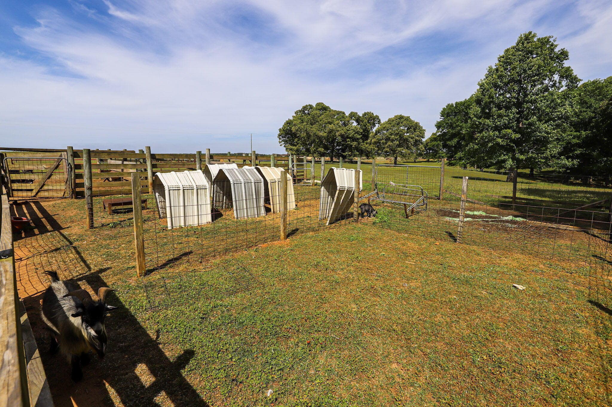 Single Family Residence at 9466 Clarks Mill Road, Avera, GA 30803, photo 69 of 72