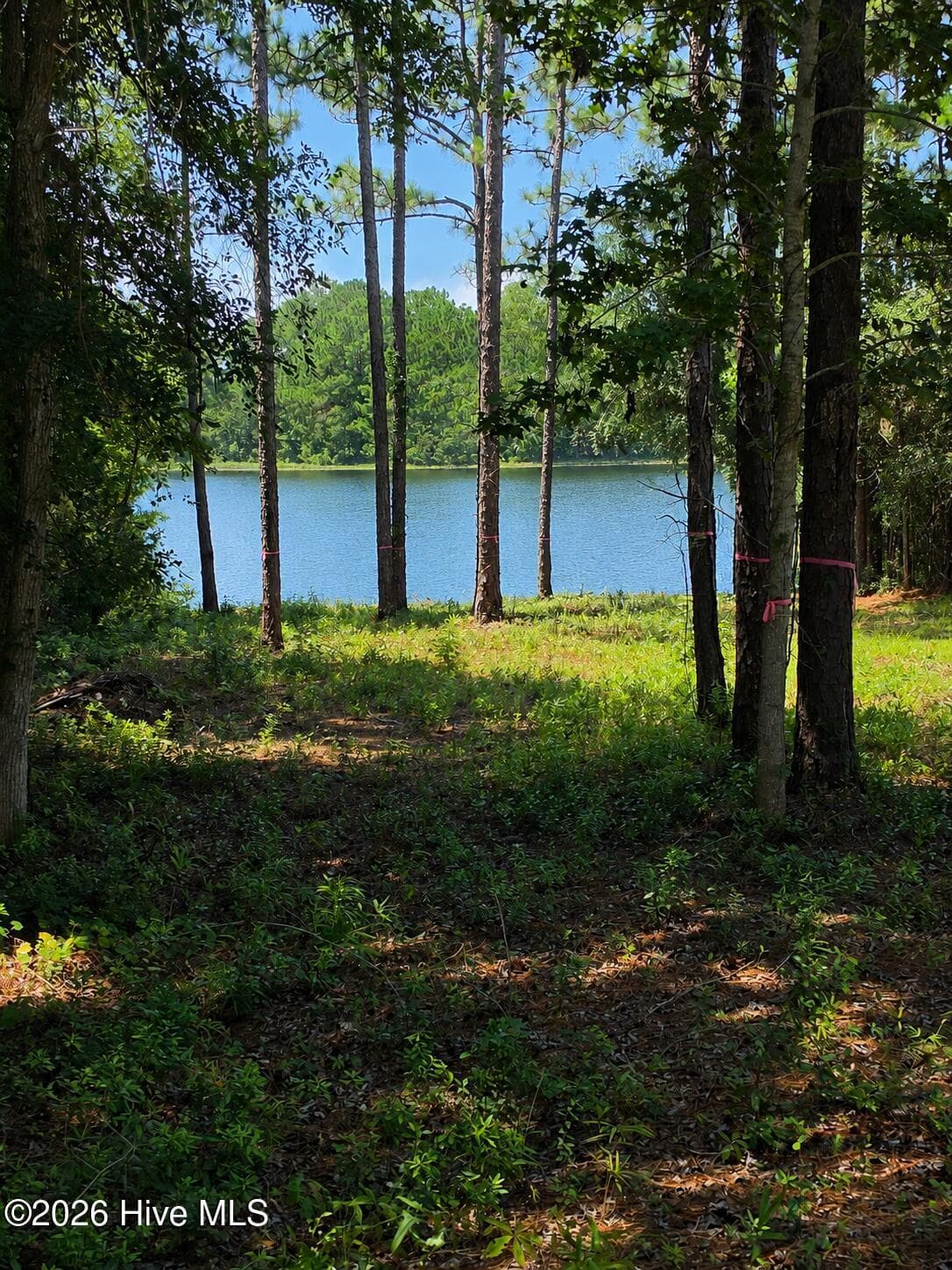 LOT 44 , PINE SHORES DRIVE - 44 Pine Shores Drive, Southport, NC 28461