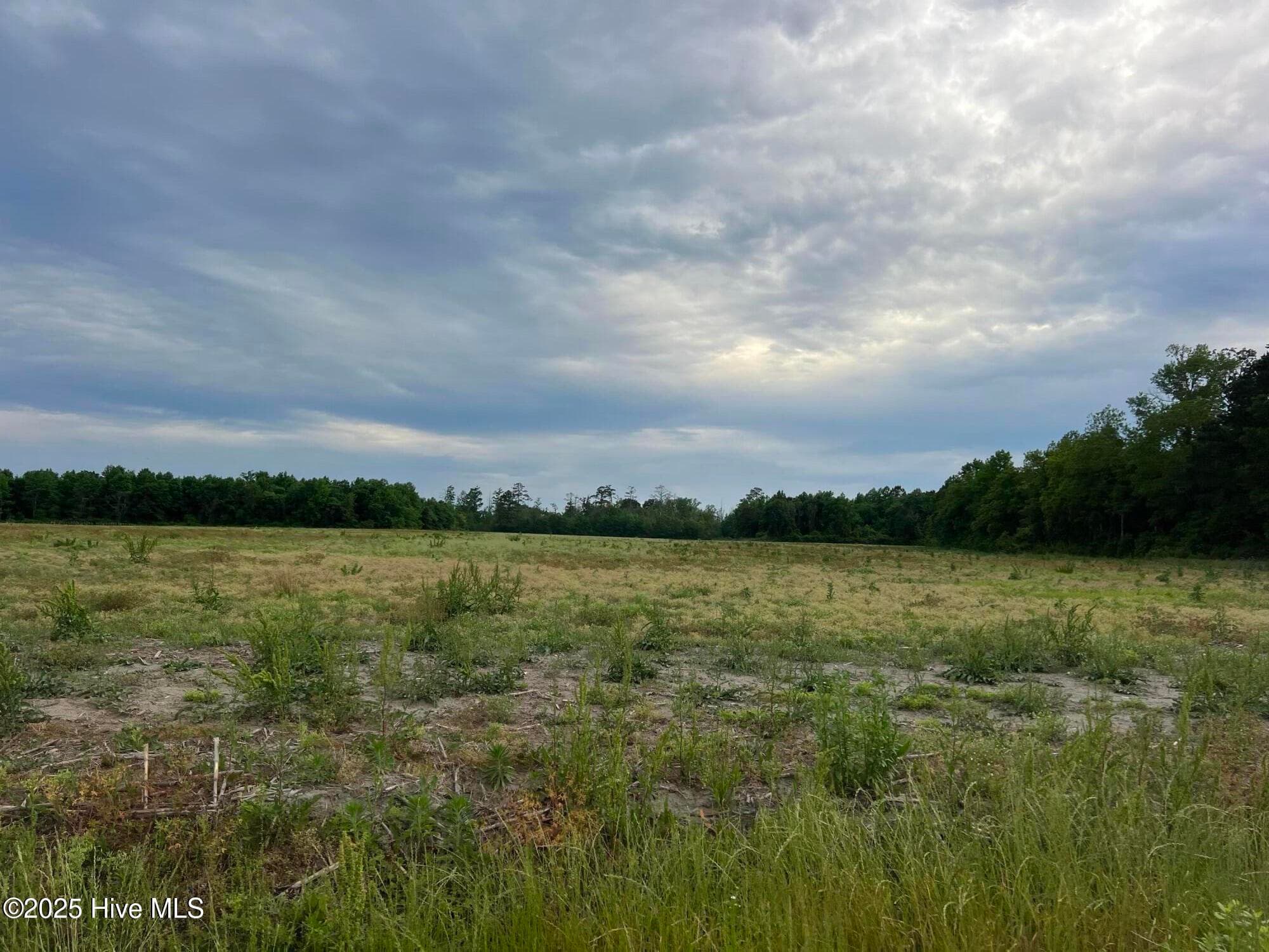 Agriculture at 0 Sr 1918 Road, Aurora, NC 27806, photo 2 of 6