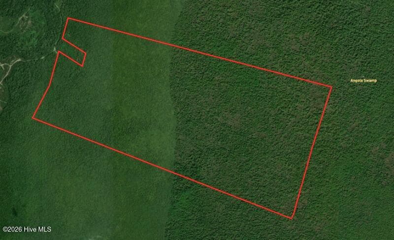 Recreation at 0 Angola Bay Road, Wallace, NC 28466, photo 2 of 16