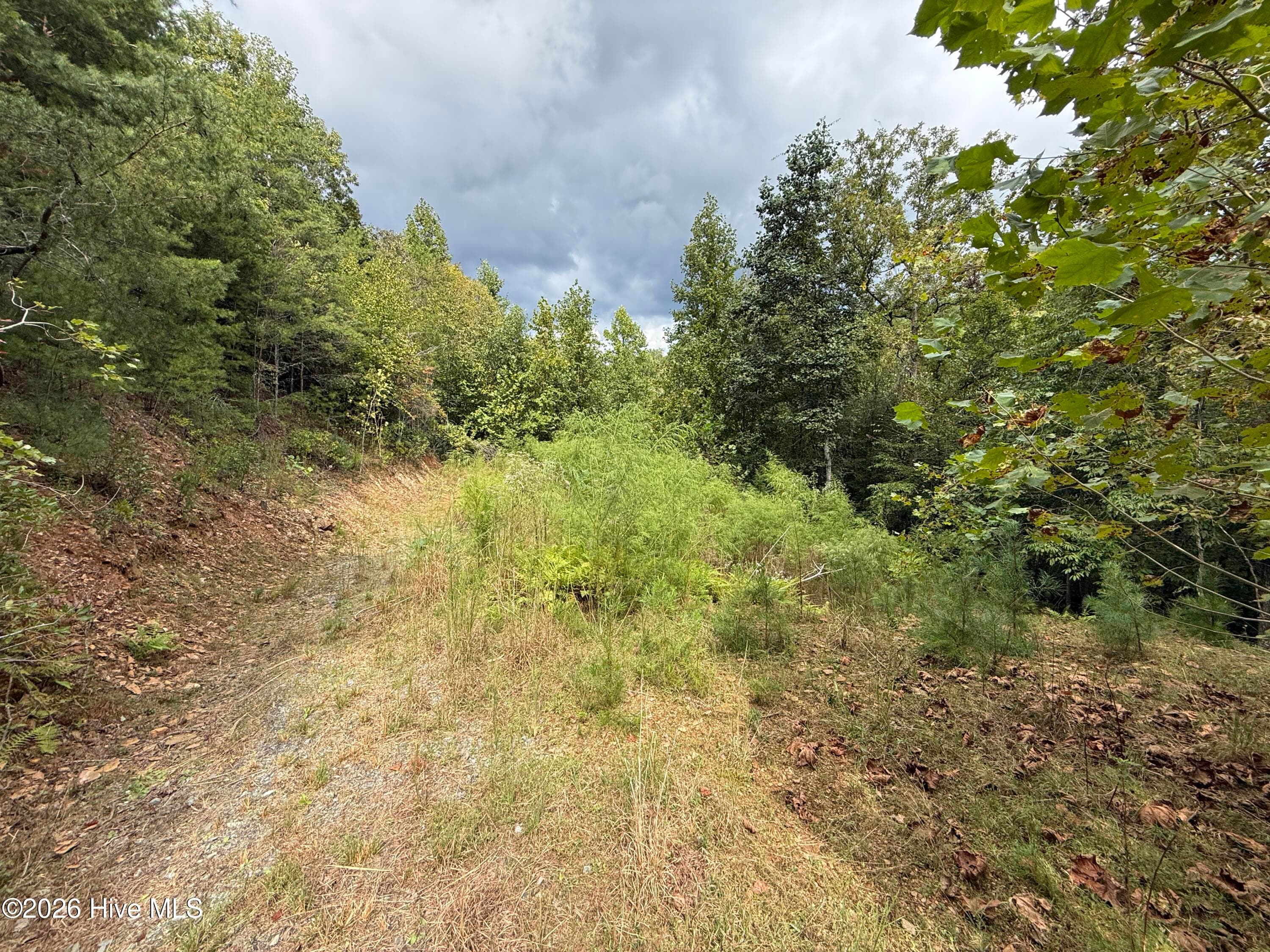 Residential Lot at 190 Leisey Lane, Murphy, NC 28906, photo 4 of 7