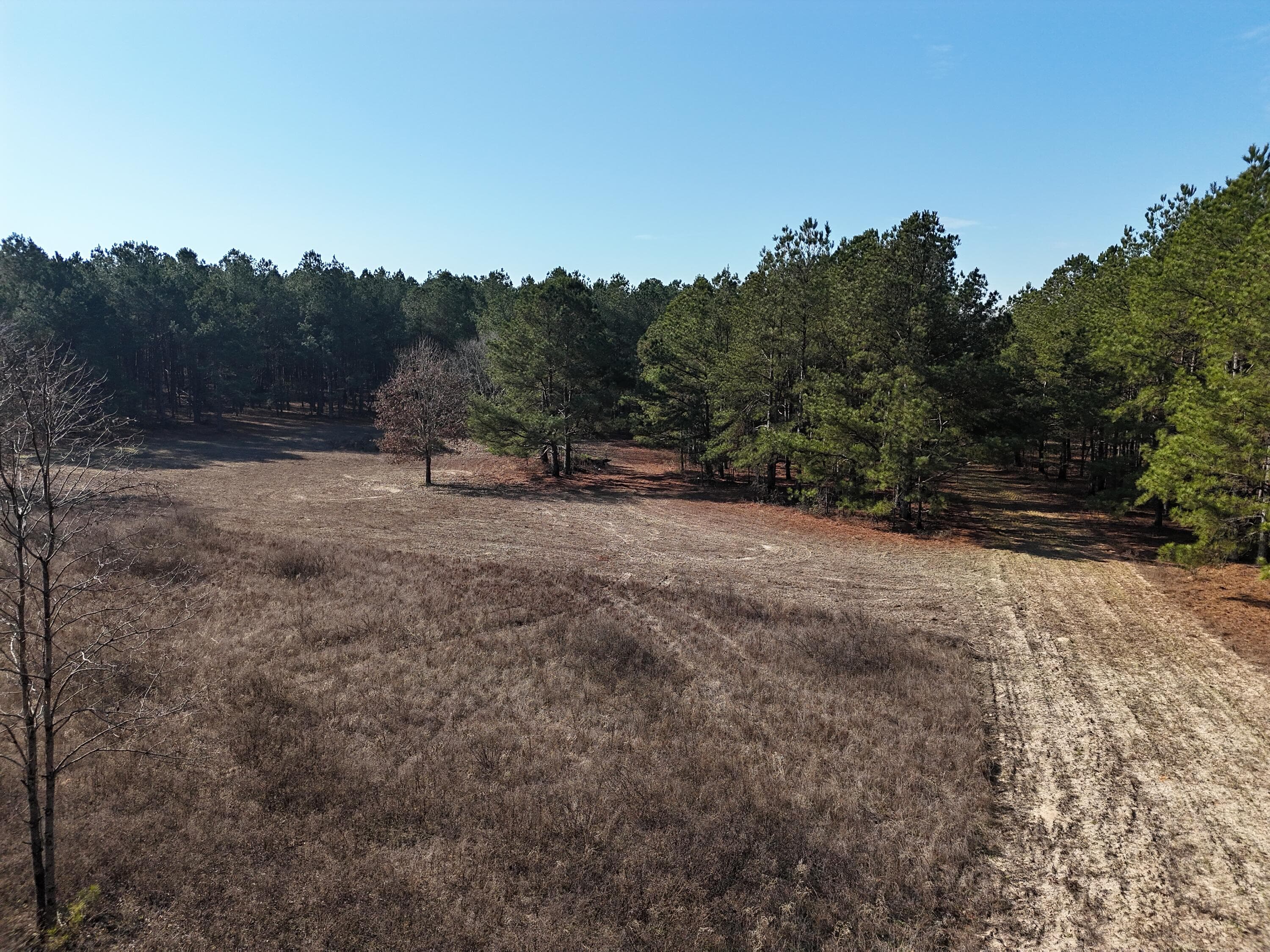 Undeveloped at 0 Ponderosa Road, Waynesboro, GA 30830, photo 2 of 45