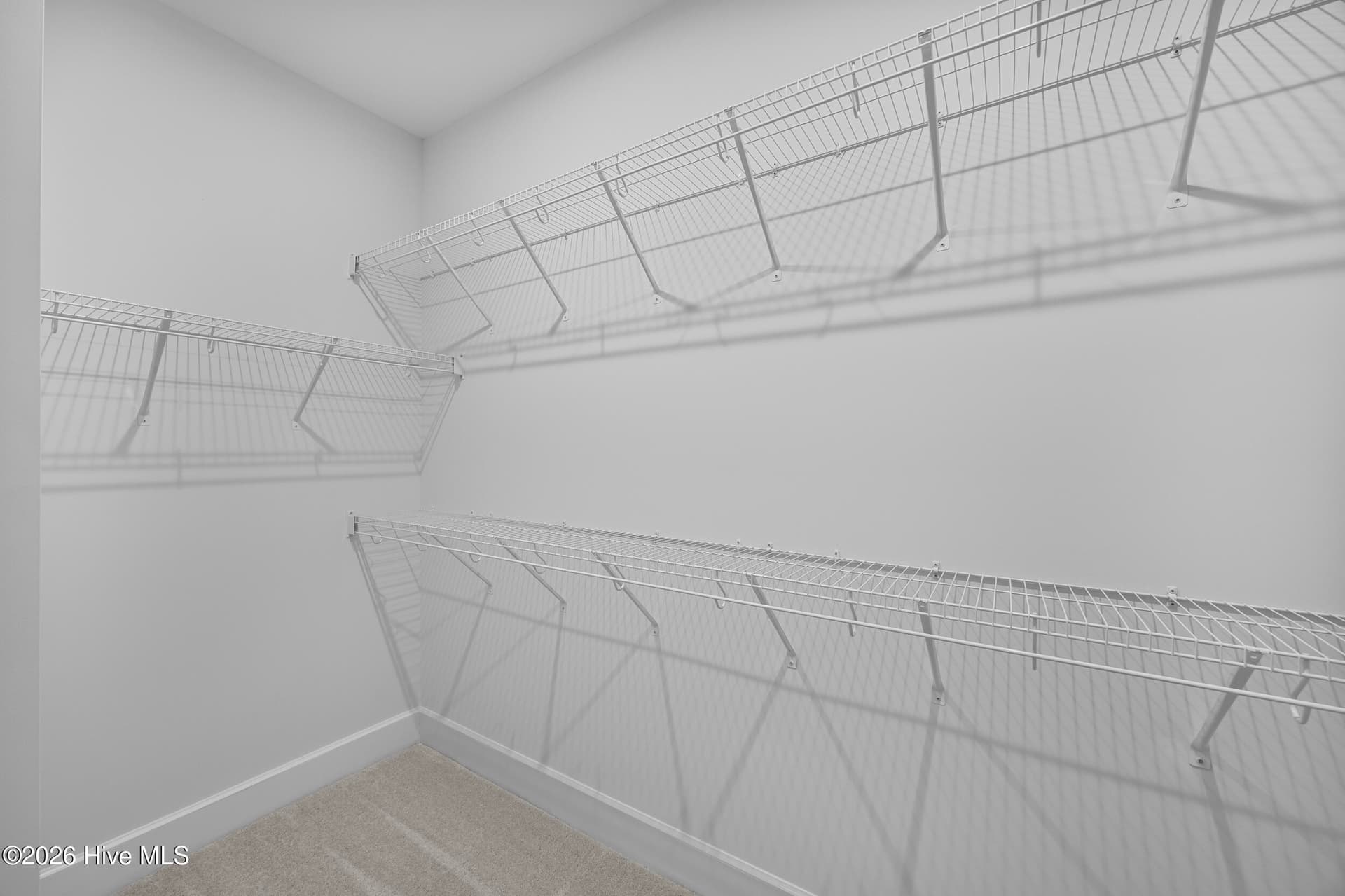 “Home shown is a representation of the floor plan and may include optional features or upgrades. Elevations, materials, colors, finishes, square footage, and included features may vary from the actual home. Please consult a Sales Representative for complete details.” - 6055 Painted Turtle Place 163, Leland, NC 28451