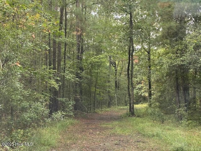 Residential Lot at 8 Pine Crest Road, Bath, NC 27808, photo 8 of 9
