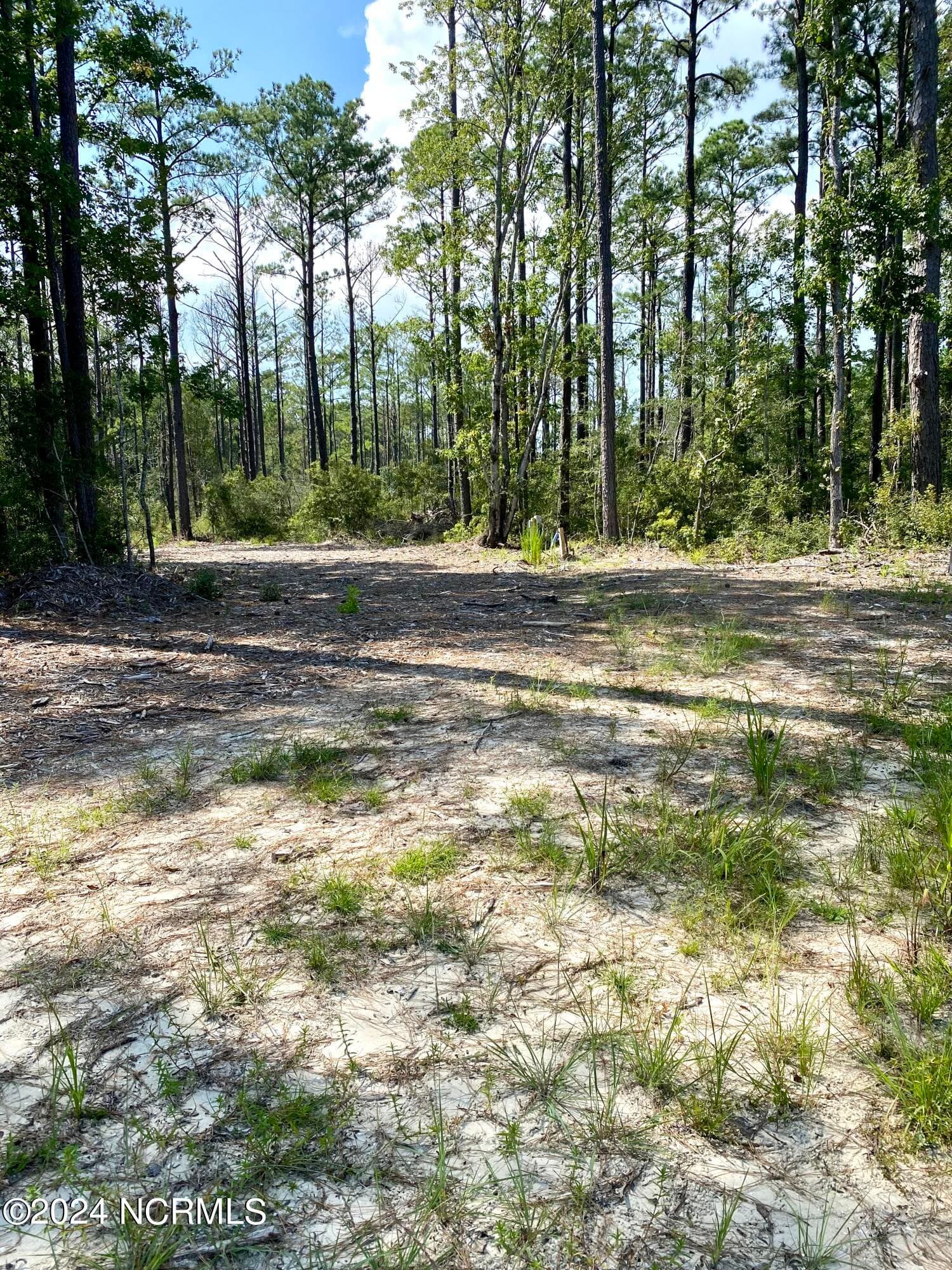 Residential Lot at 280 Donnie Davis Road, Williston, NC 28589, photo 13 of 22