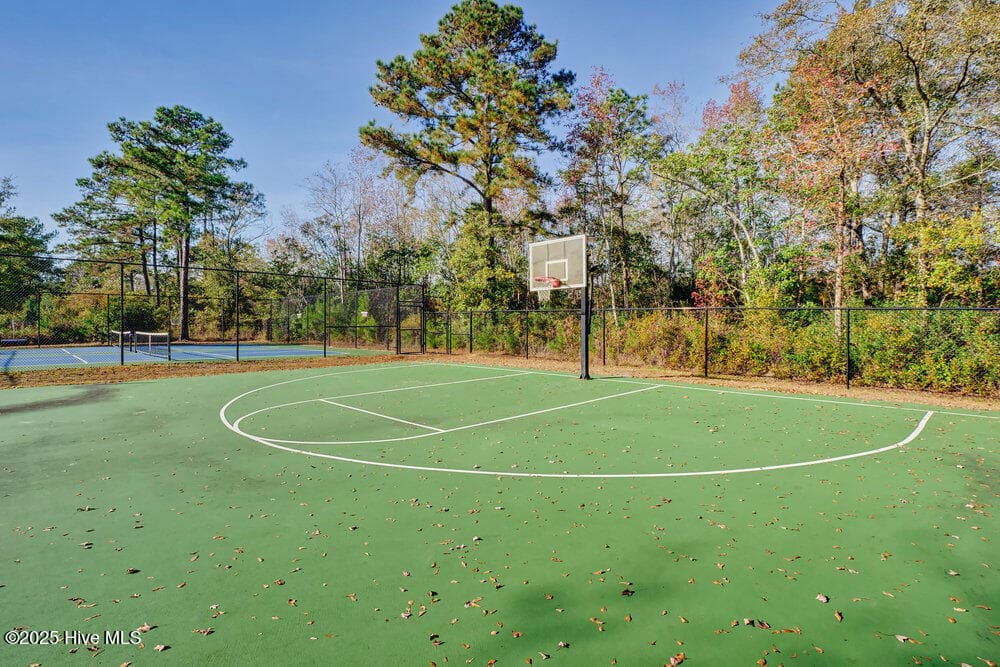 Basketball - 3623 White Cliffs Drive, Castle Hayne, NC 28429
