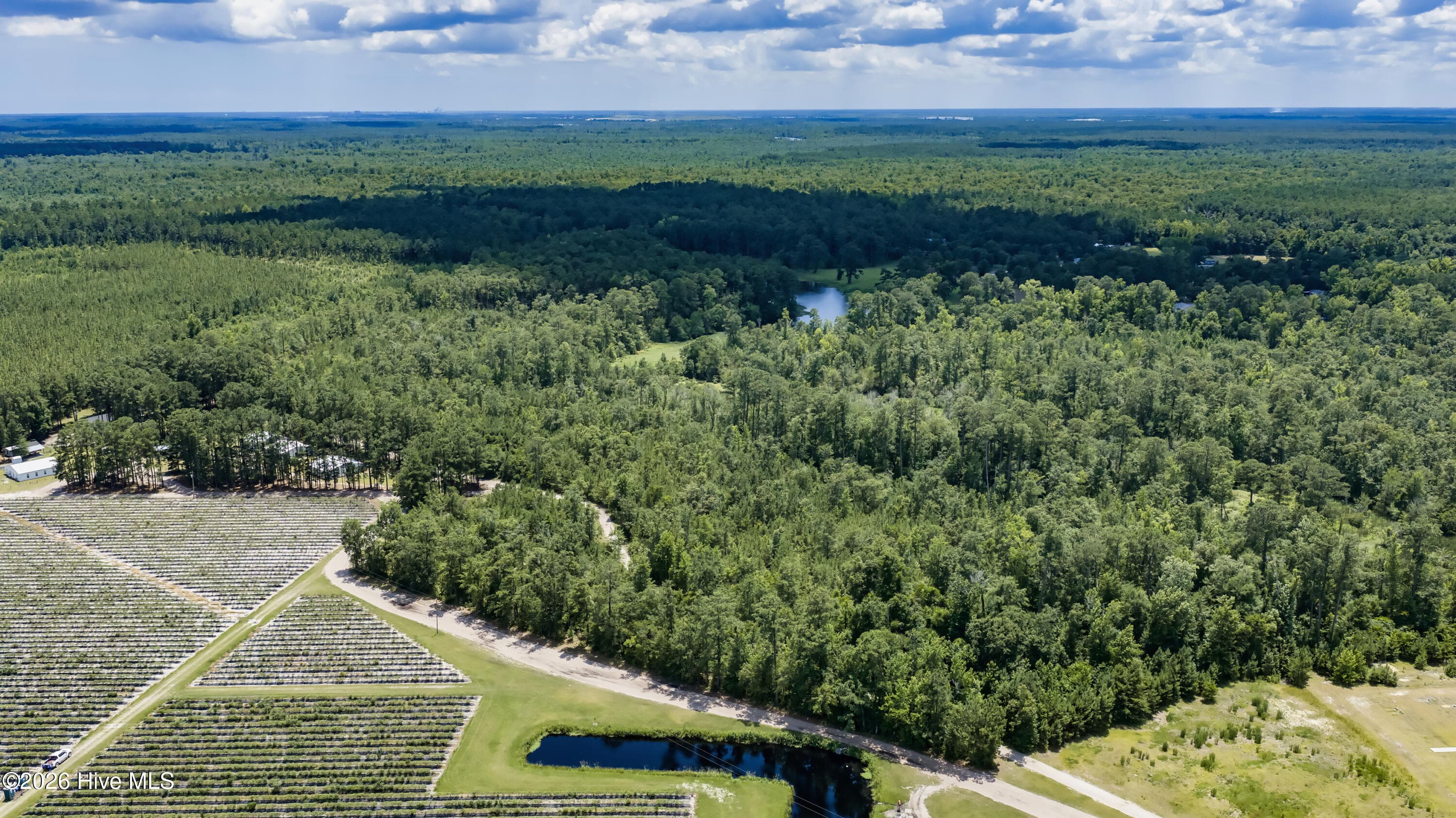 Undeveloped at 0 Clarks Landing Road, Rocky Point, NC 28457, photo 13 of 23