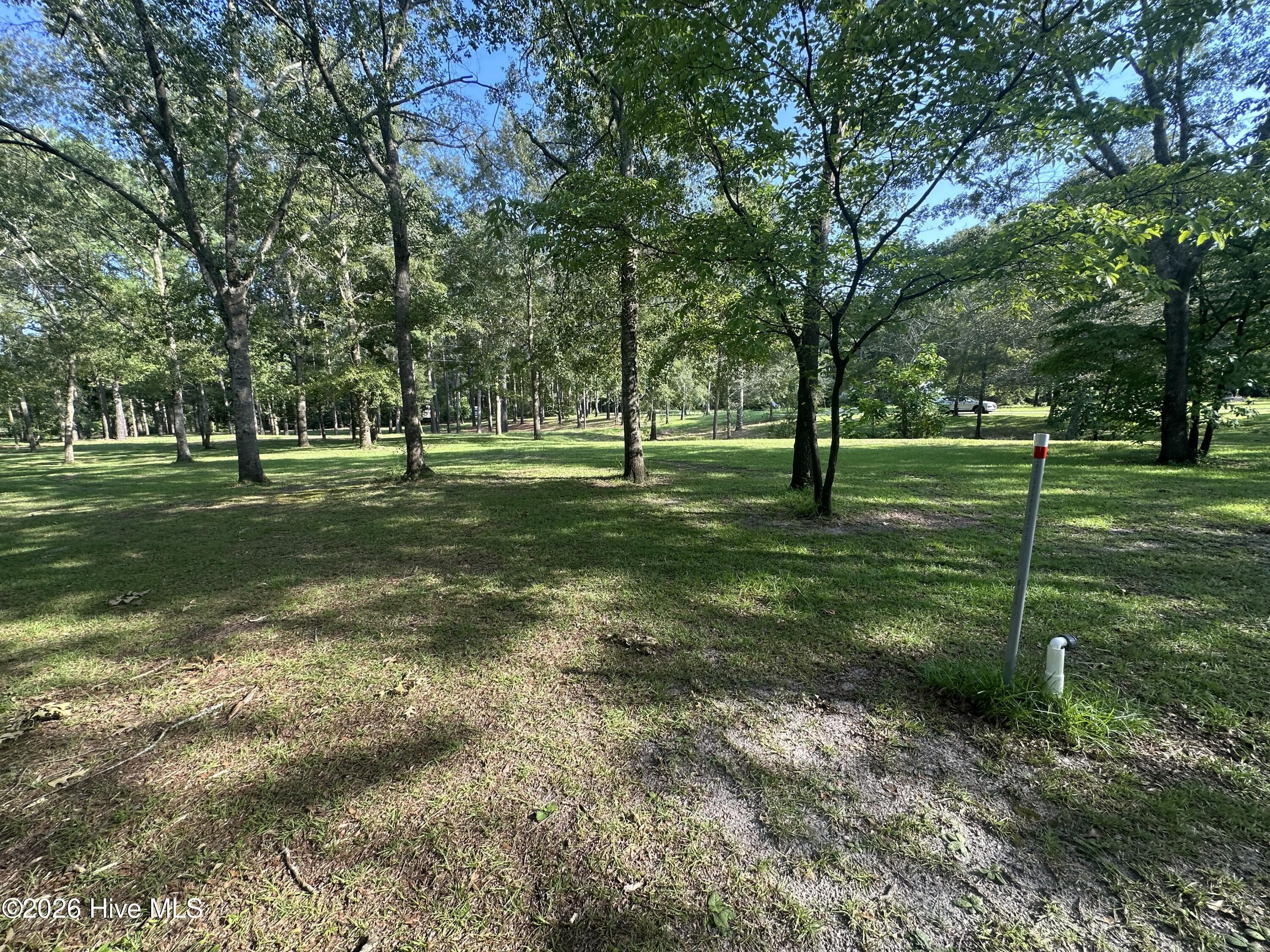 Residential Lot at 43 Black River Lane, Harrells, NC 28444, photo 11 of 15