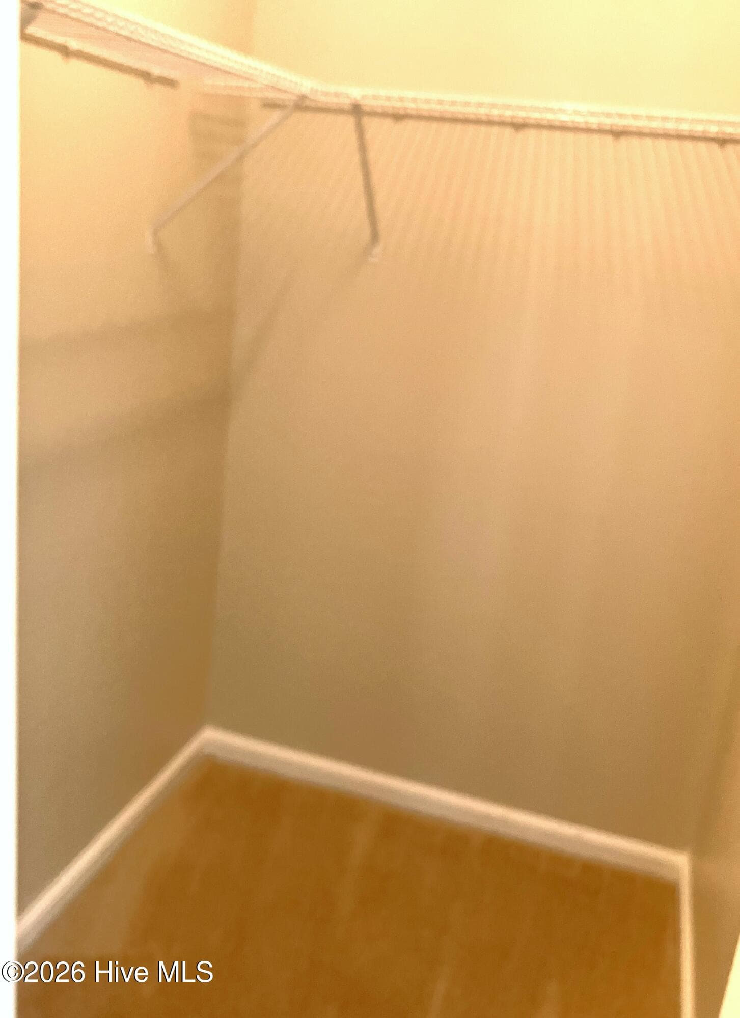 Master walk-in closet - 108 Pete Jones Drive Unit 24, Richlands, NC 28574