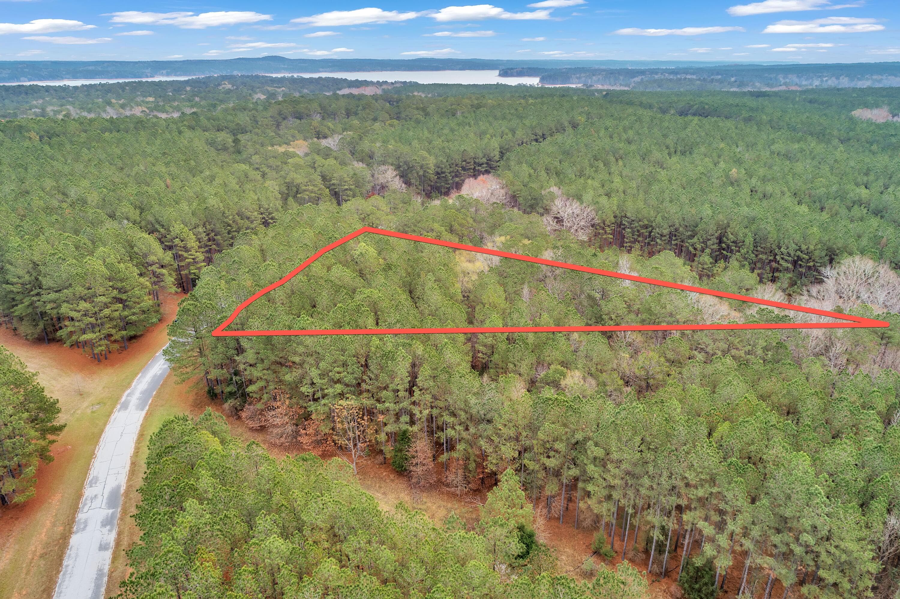 Residential Lot at 1252 294 Rogers Road, Tignall, GA 30668, photo 16 of 29