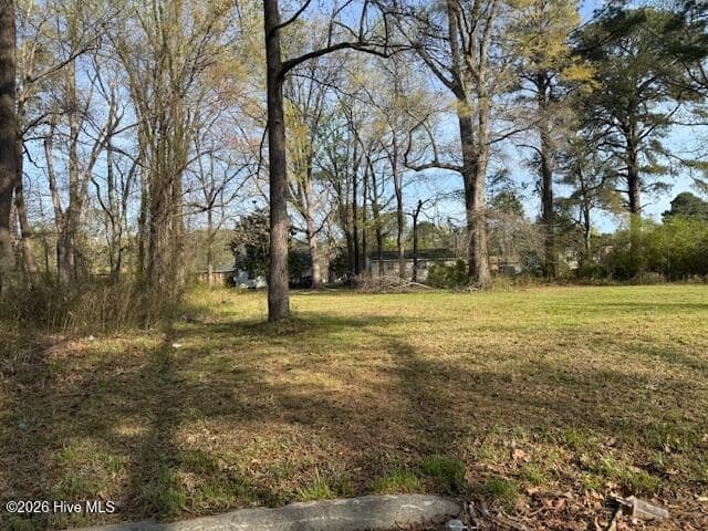 Mixed Use at Tbd Hill Street, Ahoskie, NC 27910, photo 3 of 3