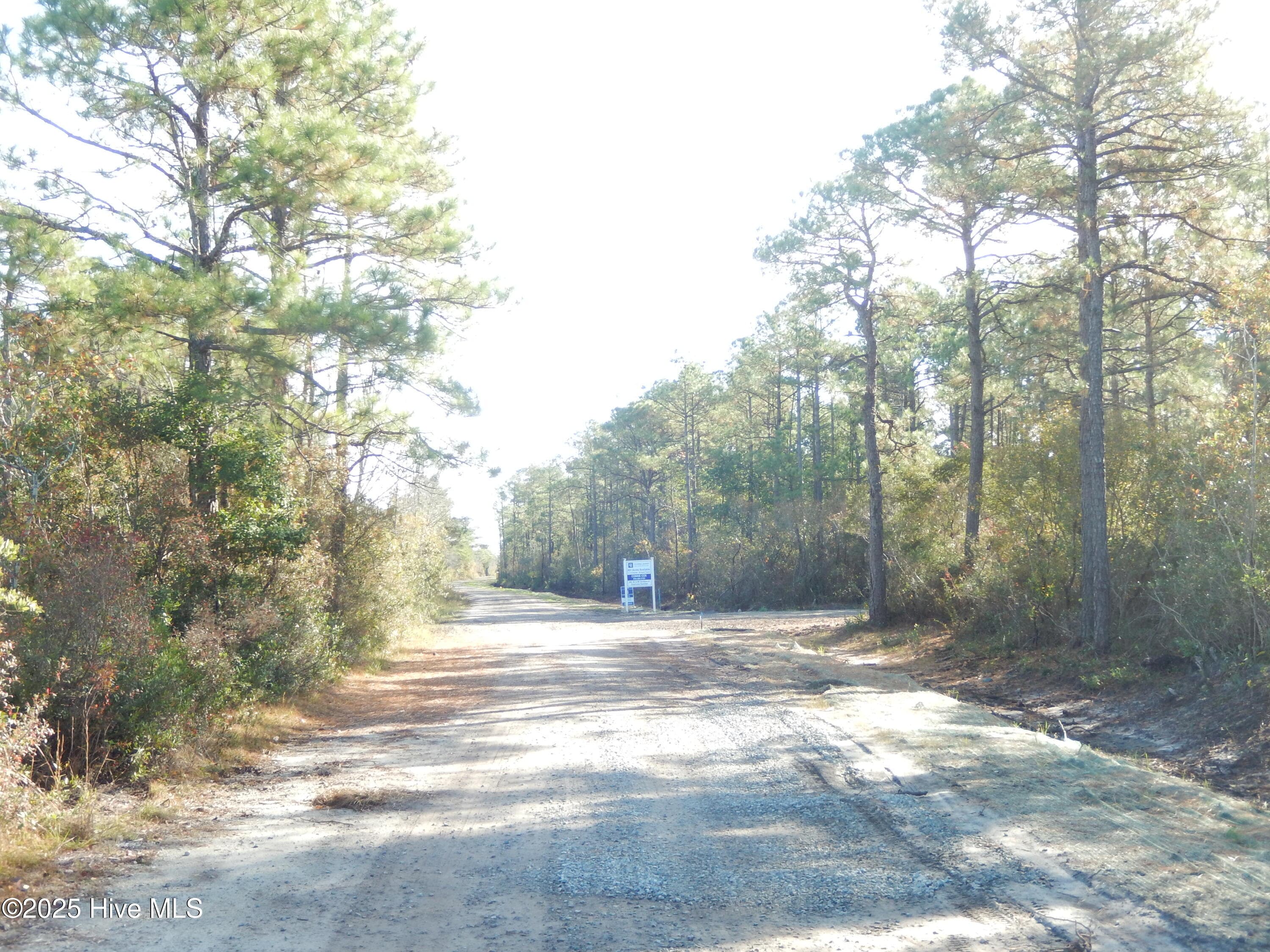 View of land approaching on Plantation Road from Service Rd off of Military Cutoff Extension - 7600 61 Plantation Road, Wilmington, NC 28411