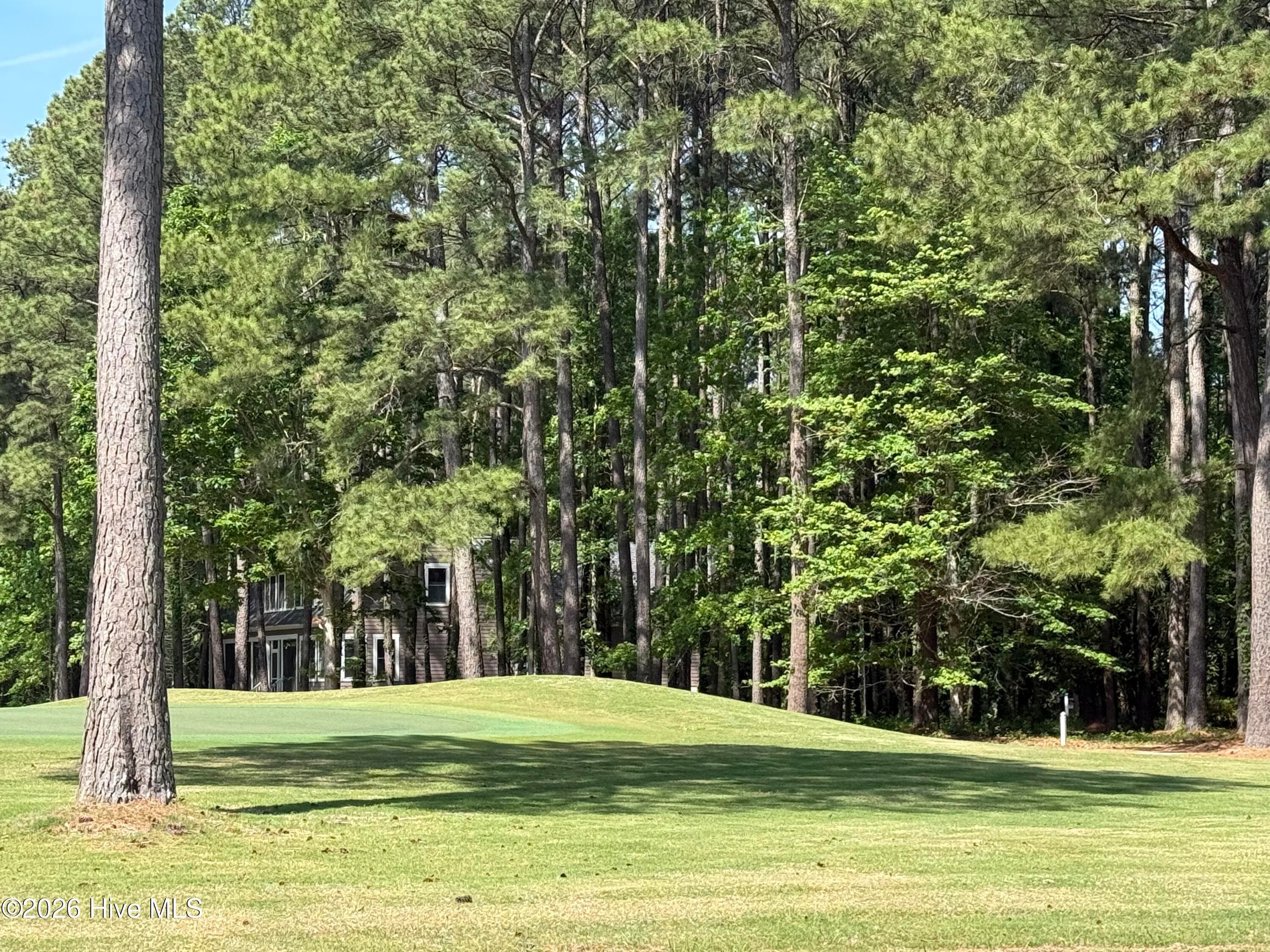 This could be your view from your front wrap around porch and view from the home. Unobstructed - 14 Greenwood Drive, Hertford, NC 27944