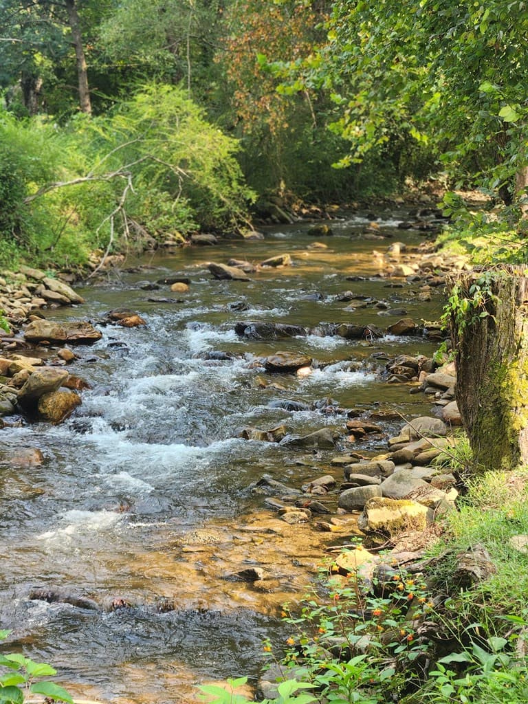 Undeveloped at Lot 27 Lazy Bear Trail, Andrews, NC 28901, photo 3 of 7