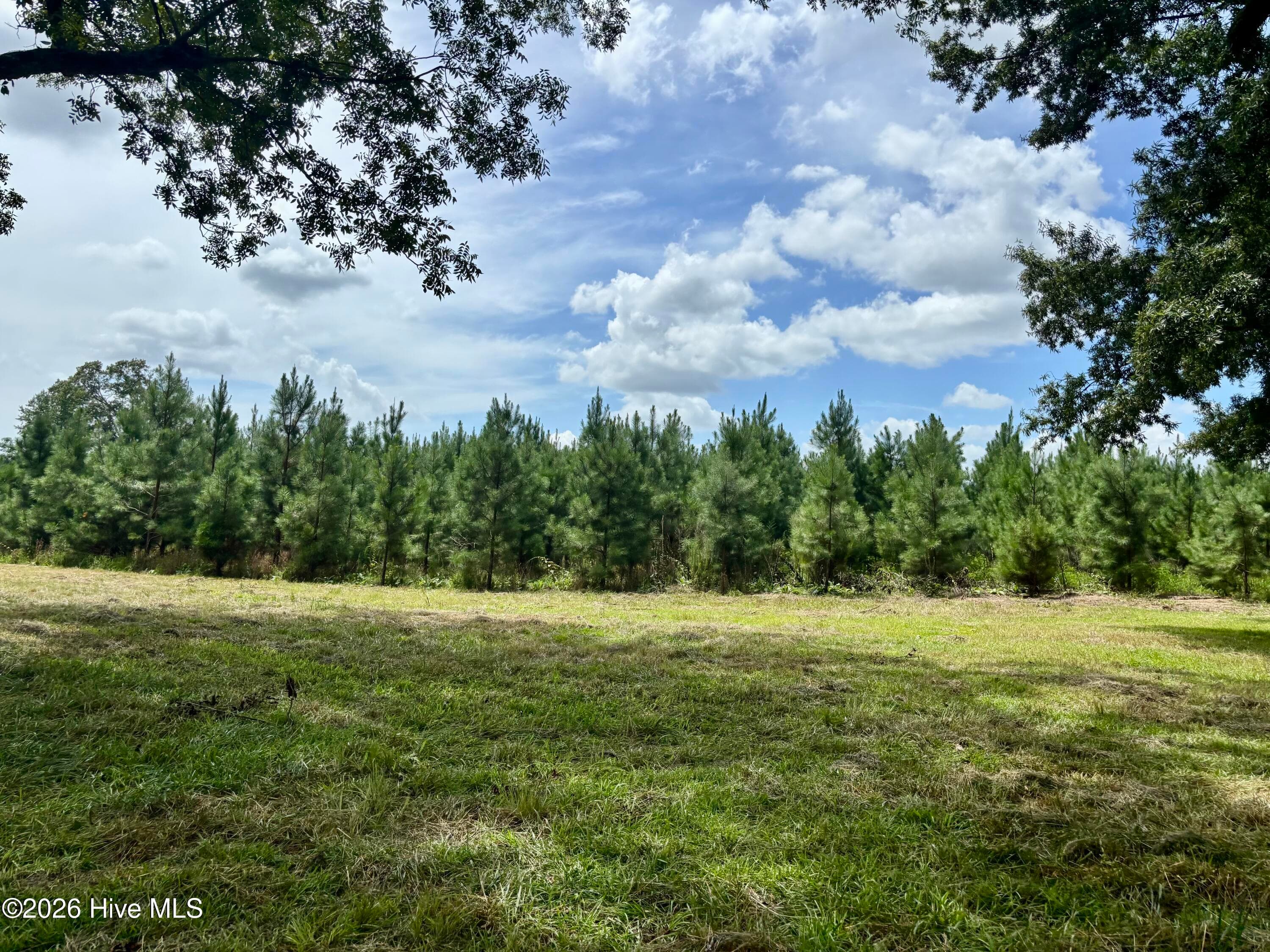 Undeveloped at Tbd Roberdel School Road, Rockingham, NC 28379, photo 4 of 6