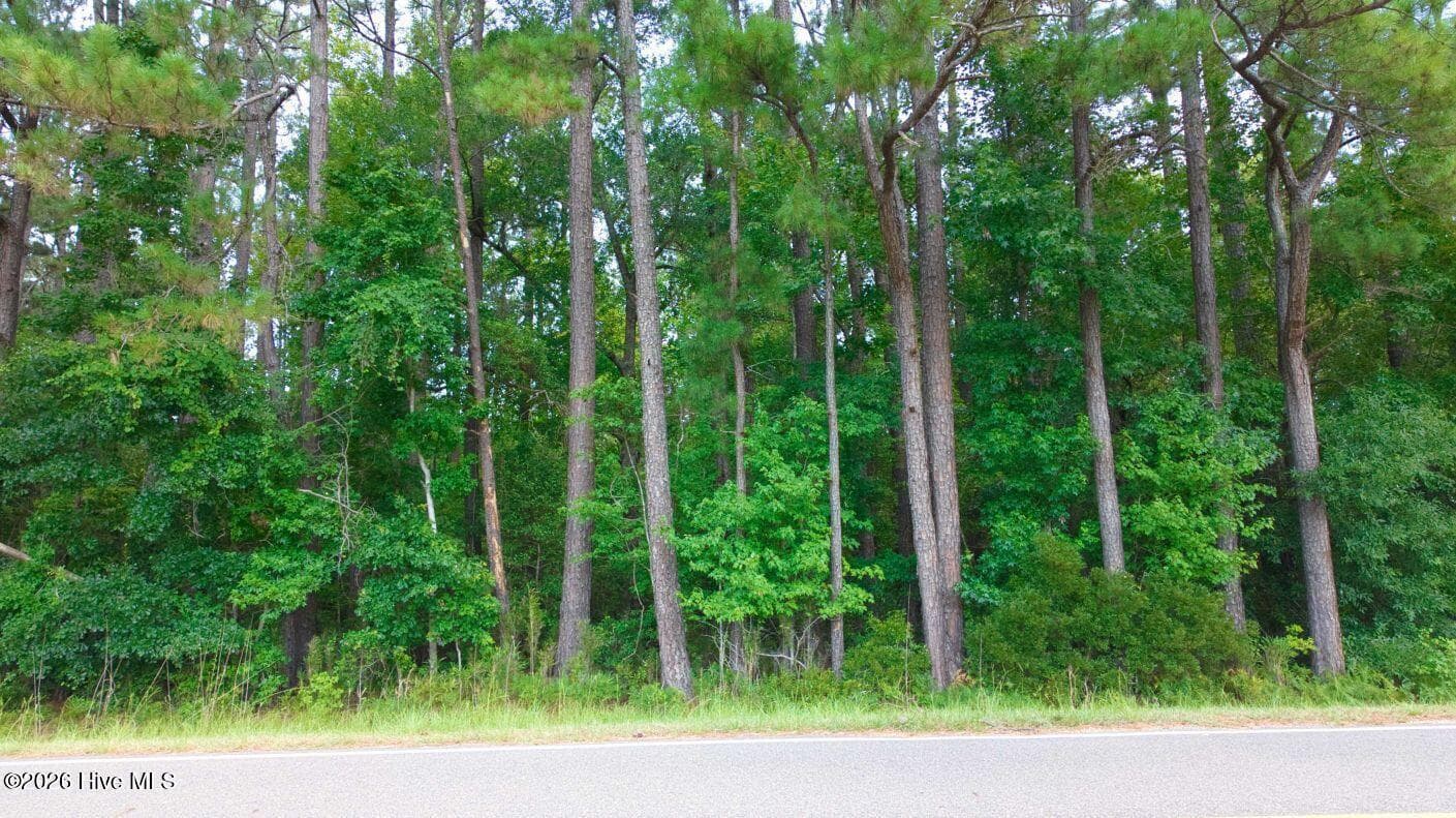 0000a Near 855 Furnie Hamm Road, Clarendon, NC 28432