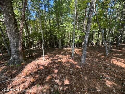 Residential Lot at Lot 1 1 Laurelwood Circle, Murphy, NC 28906, photo 22 of 24