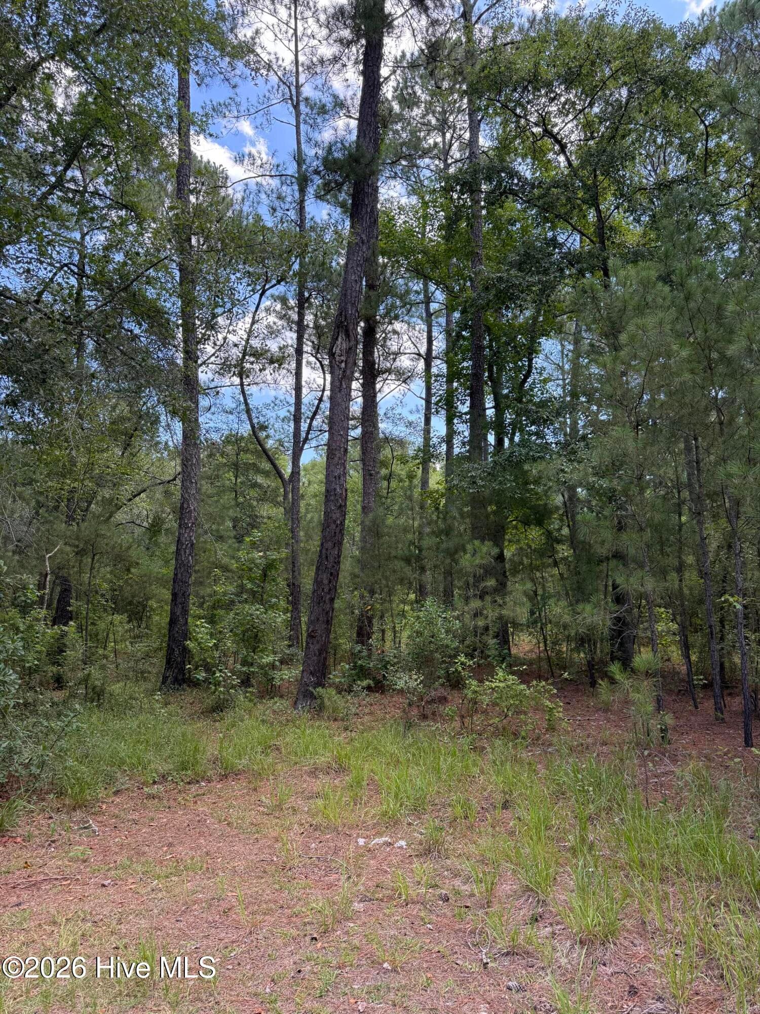 Residential Lot at 532 Old Hoover Bridge Road, Elizabethtown, NC 28337, photo 3 of 9