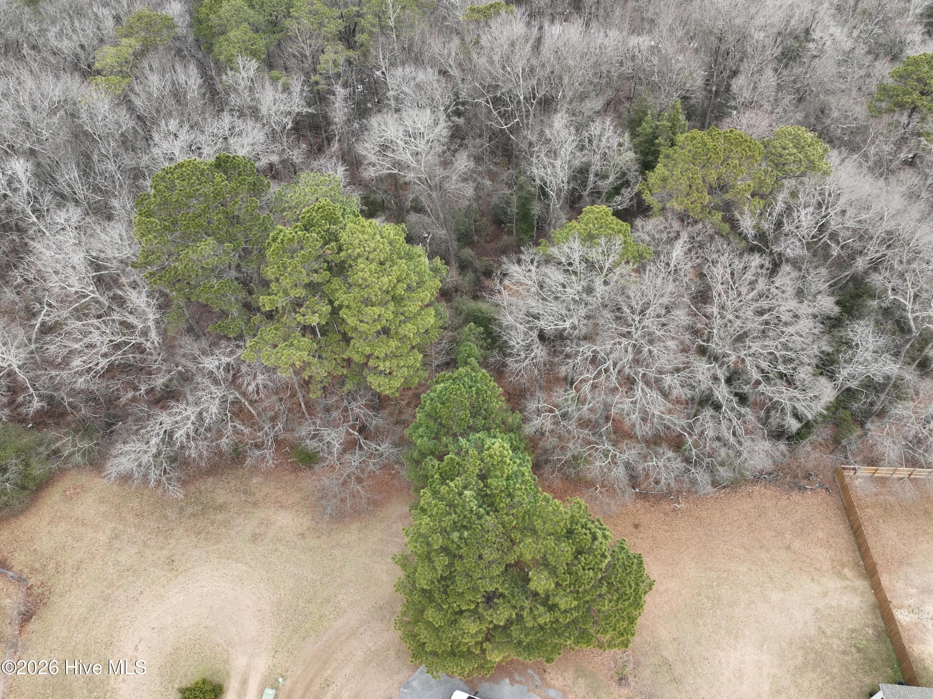 Residential Lot at 102 Colt Court, Pikeville, NC 27863, photo 3 of 6