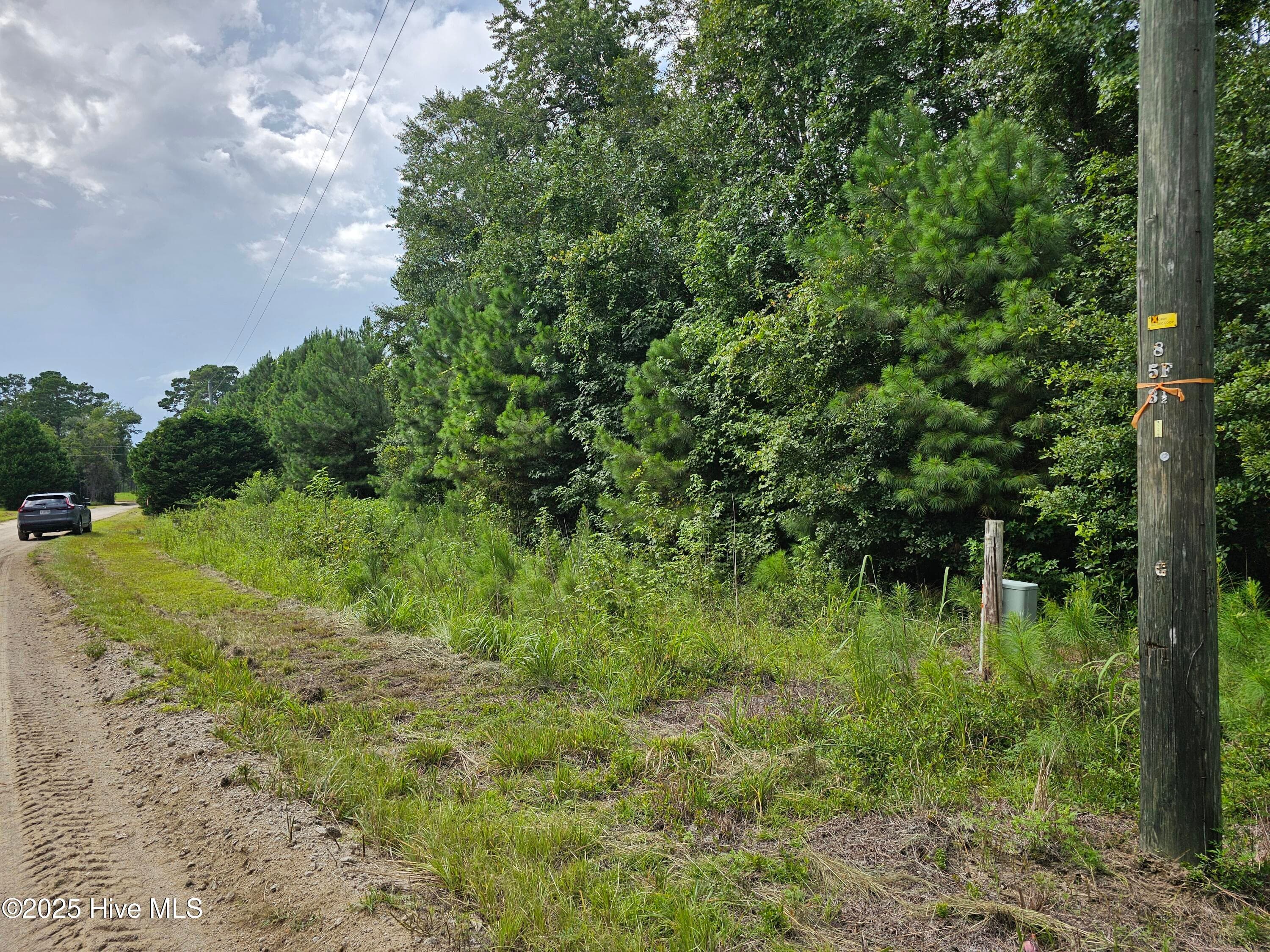 Wooded at Lot 10 & 9 9 and 10 Powell Lane, Loris, SC 29569, photo 6 of 15