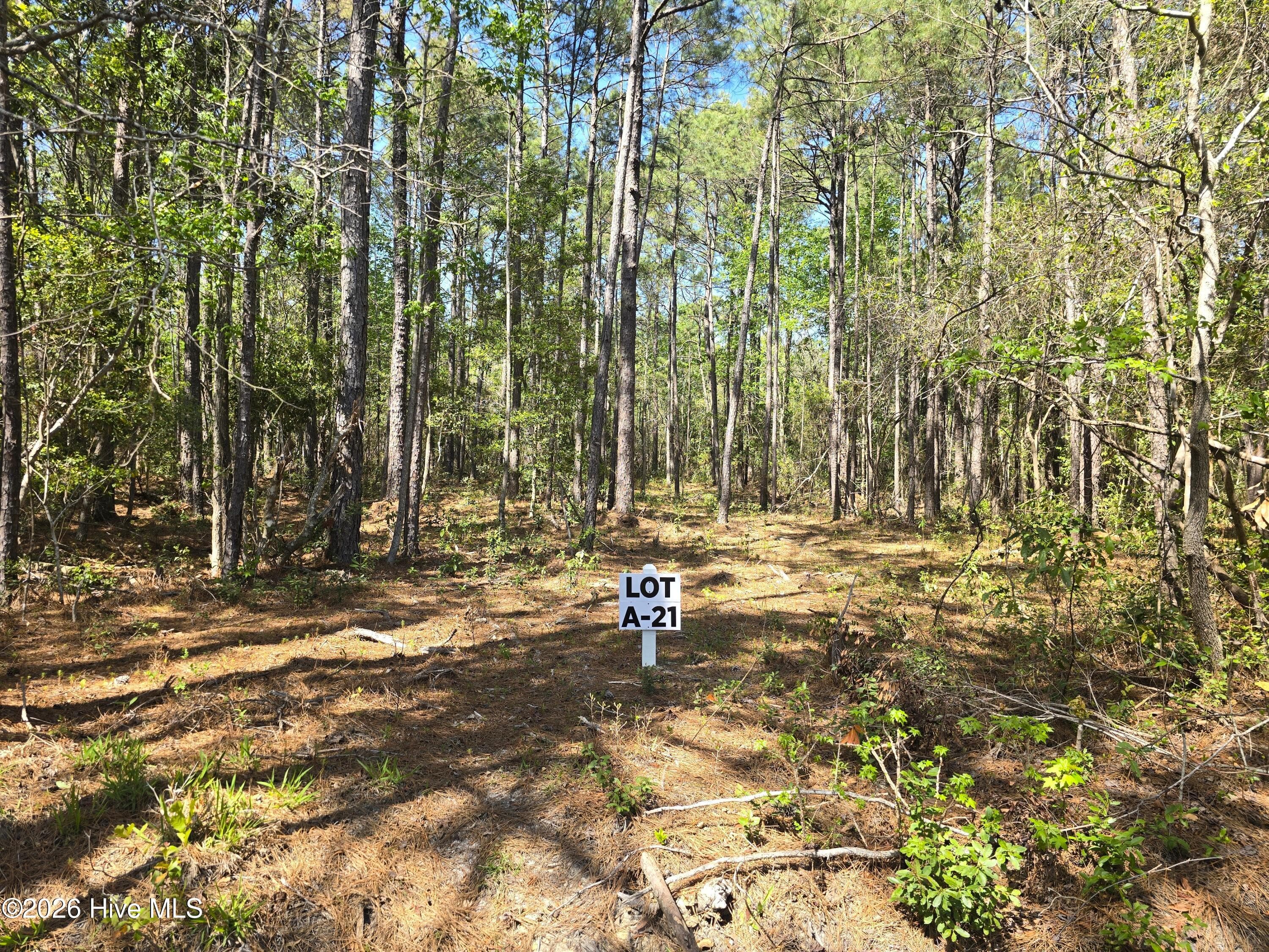 Residential Lot at Lot A-21 A-21 Renee Drive, Hampstead, NC 28443, photo 2 of 6