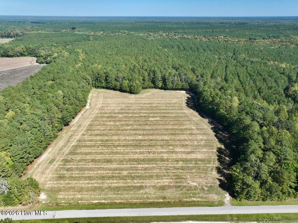 Mixed Use at 0 Spring Hill Road, Scotland Neck, NC 27874, photo 9 of 93