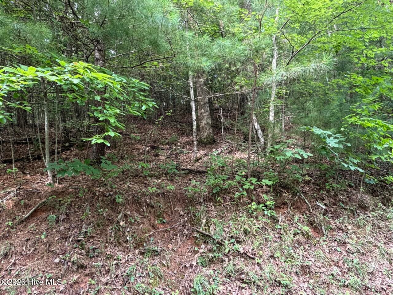 Residential Lot at Lot 9 27 Confederate Circle, Murphy, NC 28906, photo 5 of 7