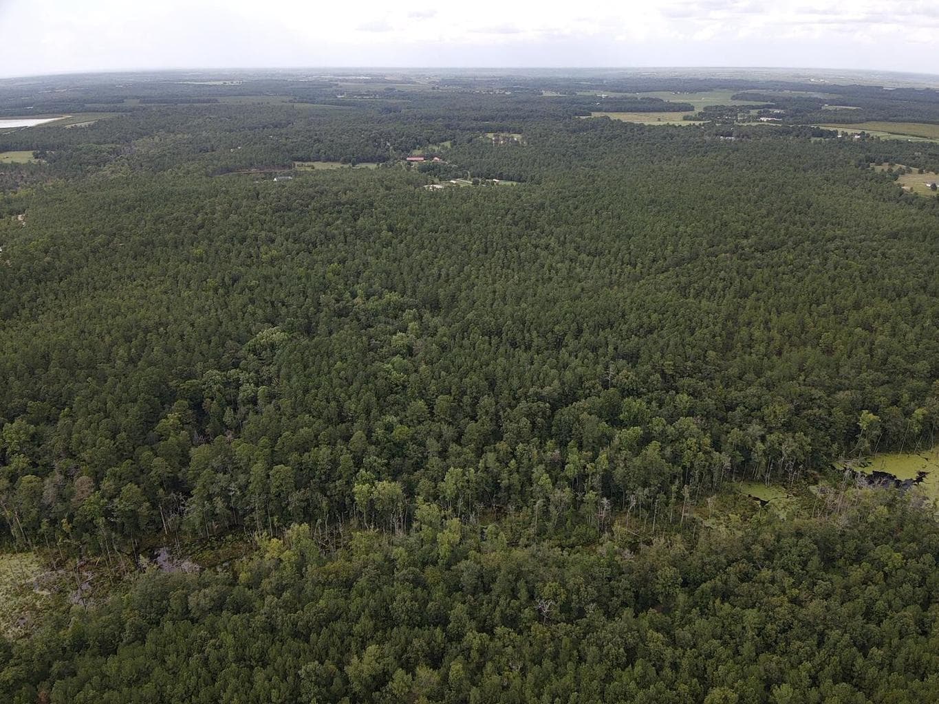 Undeveloped at Tbd Johnston Highway, Trenton, SC 29847, photo 3 of 7