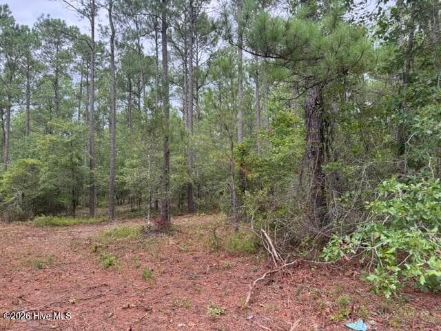 Undeveloped at 0 1 Nc Highway 210 Road, Currie, NC 28435, photo 5 of 10