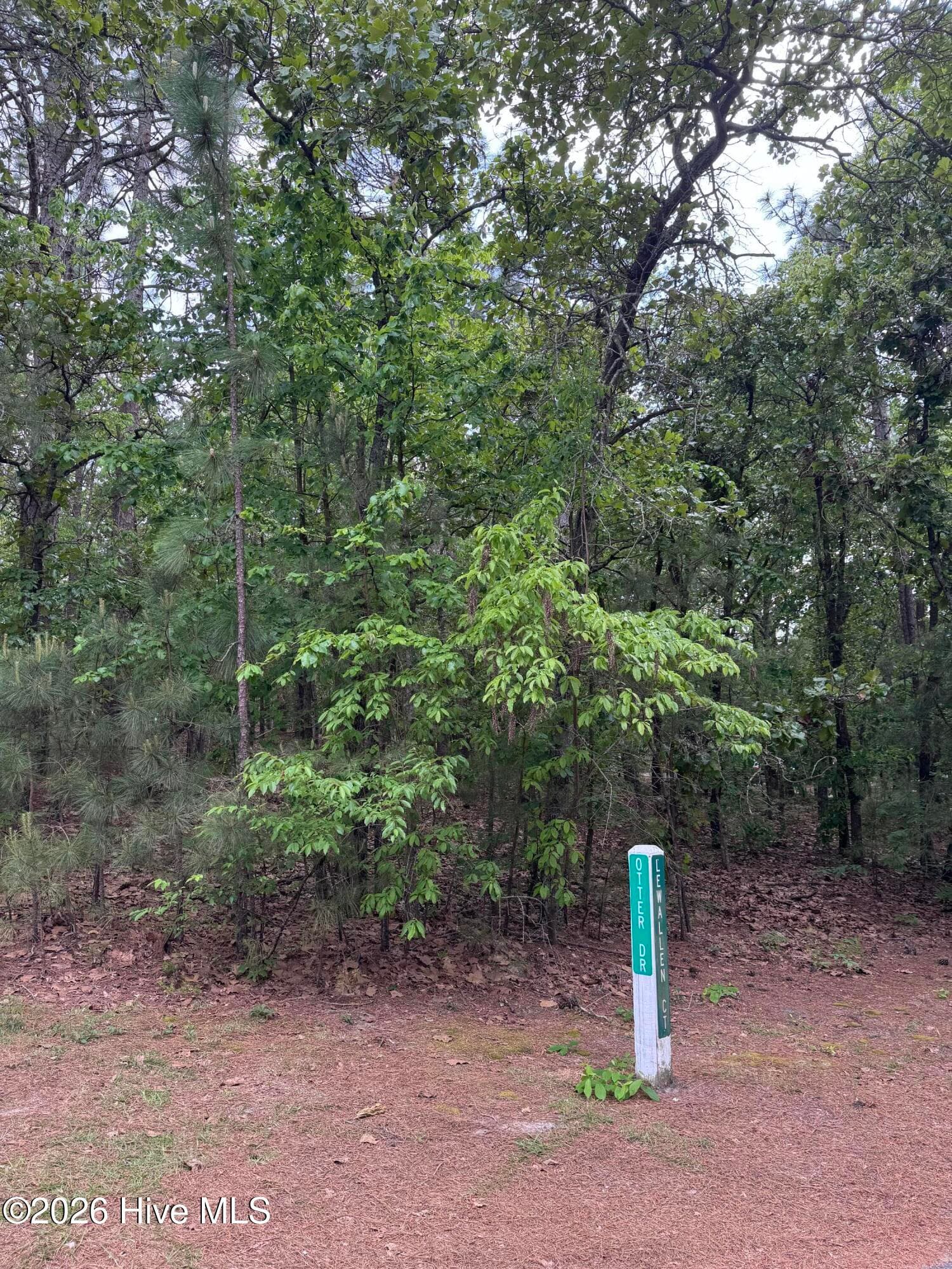 Residential Lot at 148 4177 Otter Drive, Seven Lakes, NC 27376, photo 6 of 7