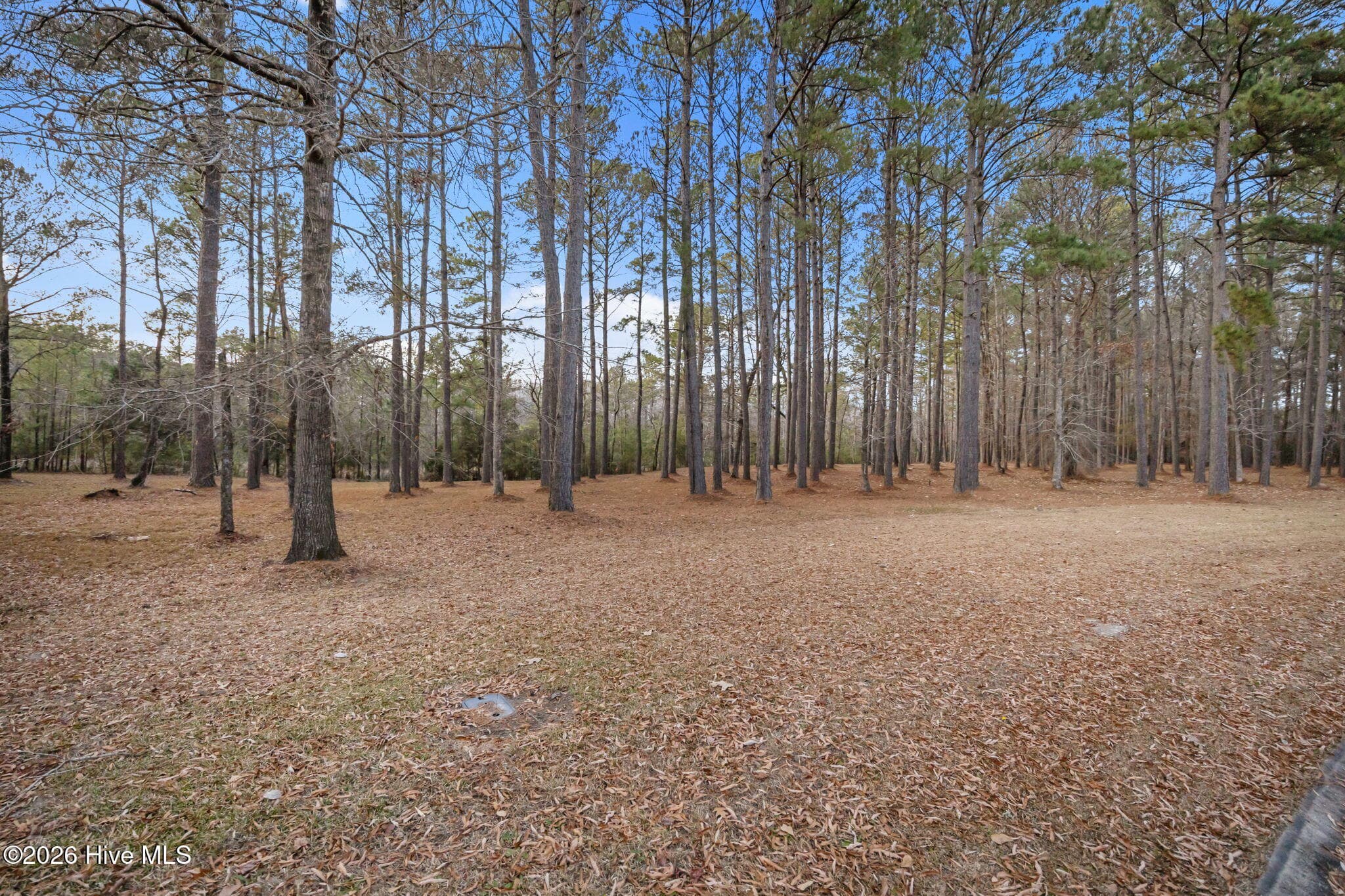 Residential Lot at 850 213 Southern Plantation Drive N, Oriental, NC 28571, photo 13 of 23