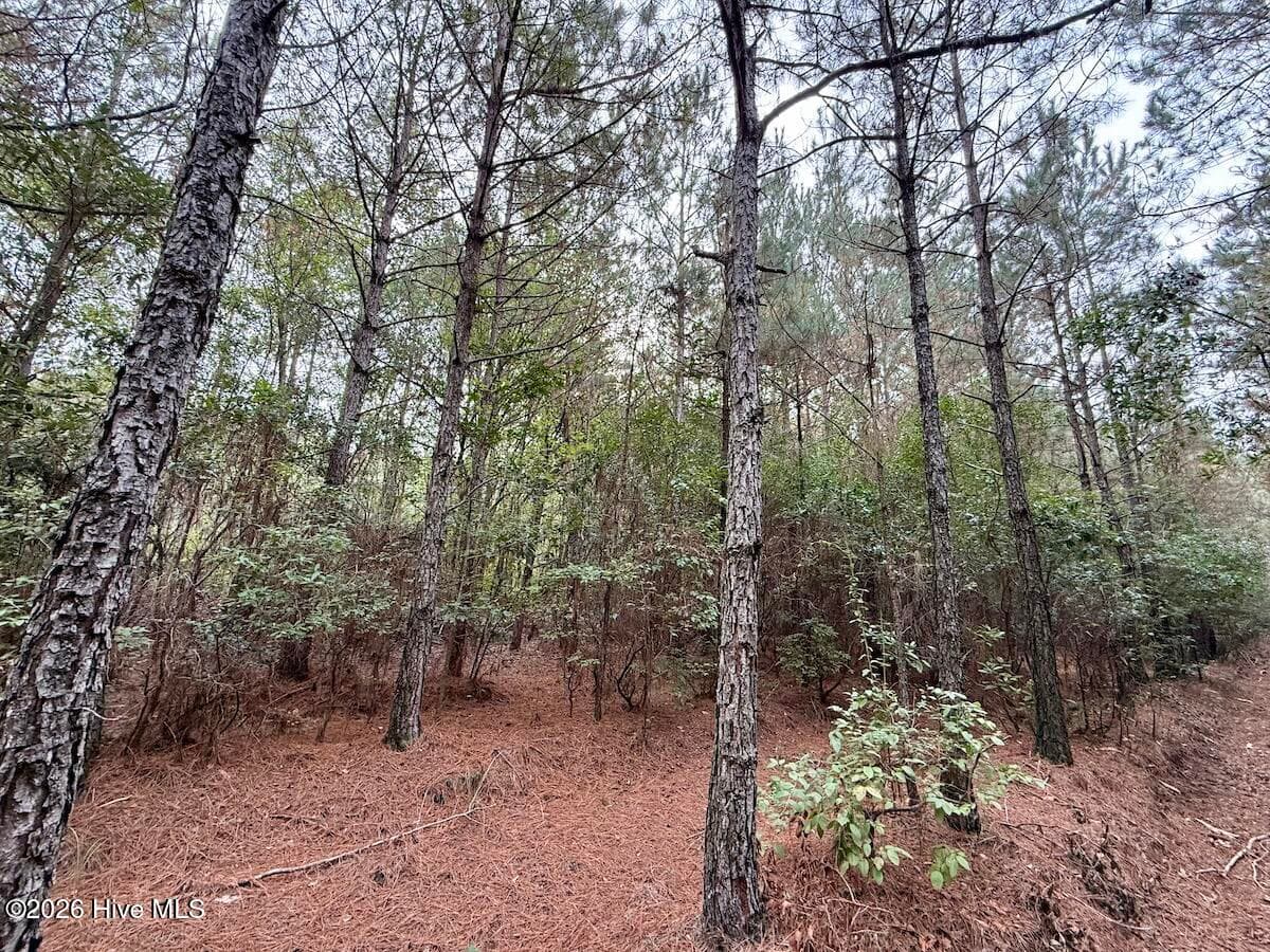 Recreation at 00 Hwy 258 S, Deep Run, NC 28525, Deep Run, photo 15 of 39