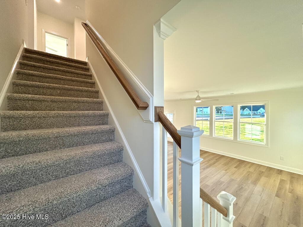 SIMILAR PHOTO - 814 Tupelo Tree Drive, Hubert, NC 28539