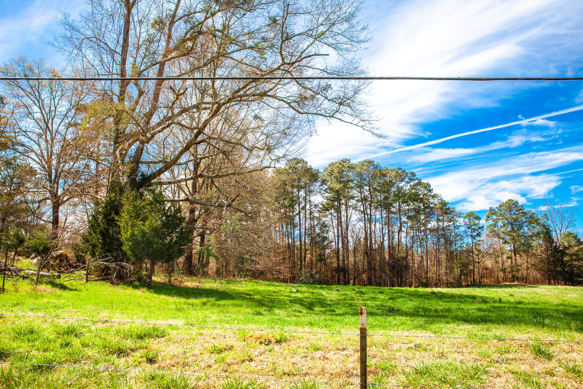 Undeveloped at 3500 5 Mistletoe Road, Appling, GA 30802, photo 4 of 5