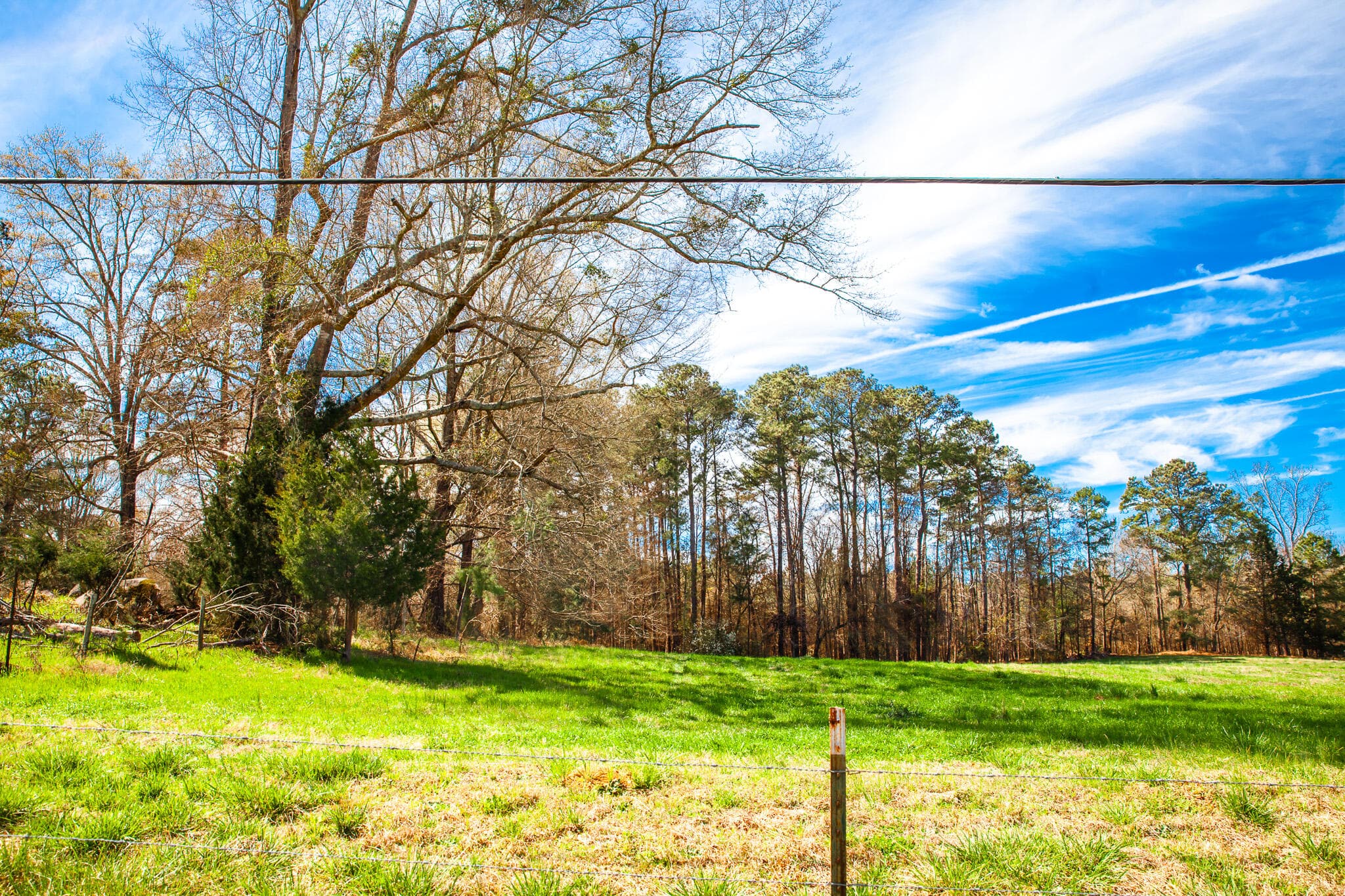 Undeveloped at 3500 5 Mistletoe Road, Appling, GA 30802, photo 4 of 5
